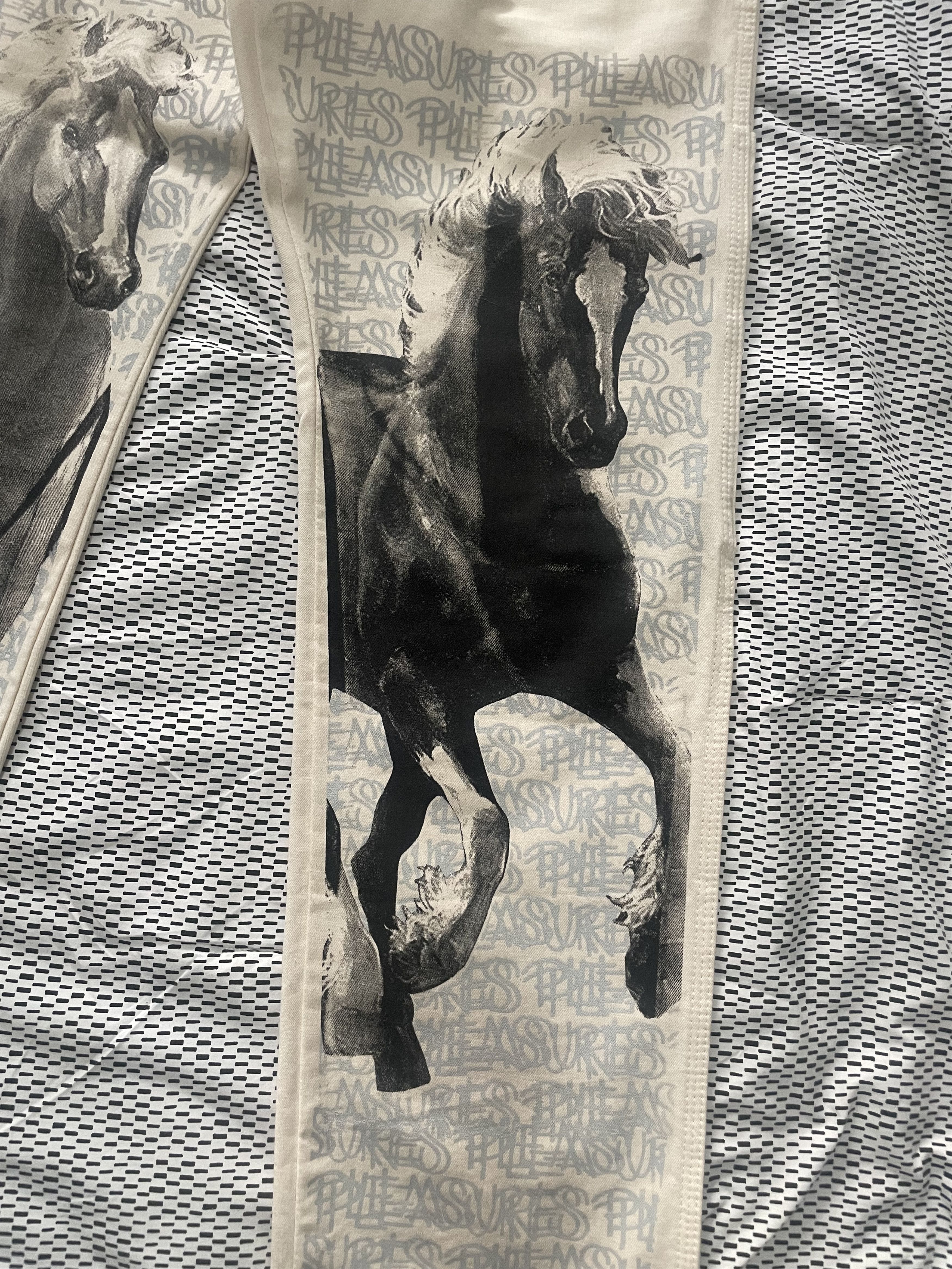 Pleasures Pleasures x Eric Haze Horses pants Size US 32 / EU 48 - 3 Thumbnail