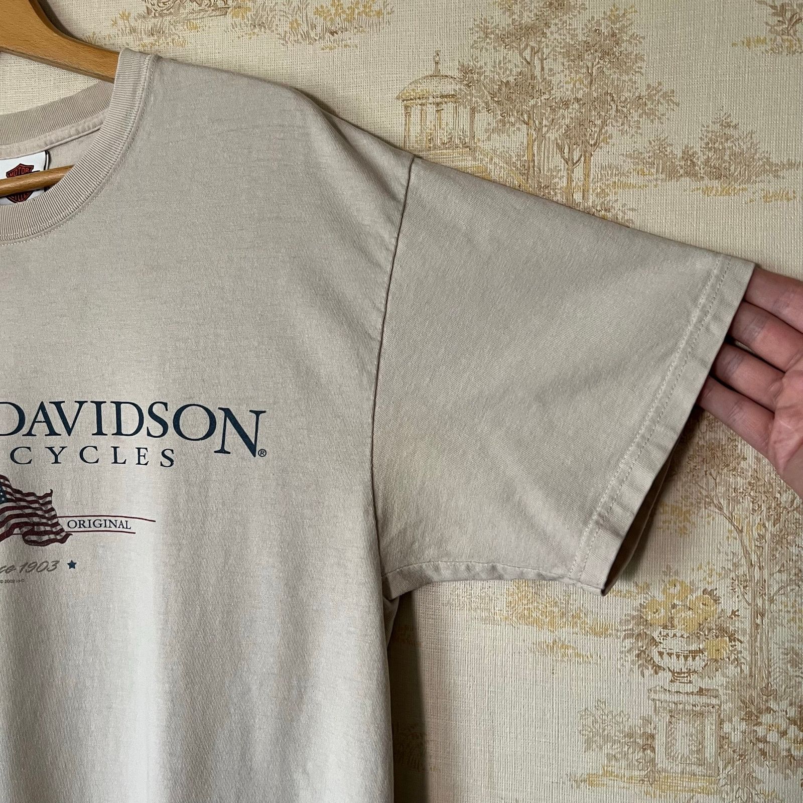 Harley Davidson 00s Distressed Harley Davidson T-Shirt | Rice Lake Wisconsin Size US L / EU 52-54 / 3 - 8 Thumbnail