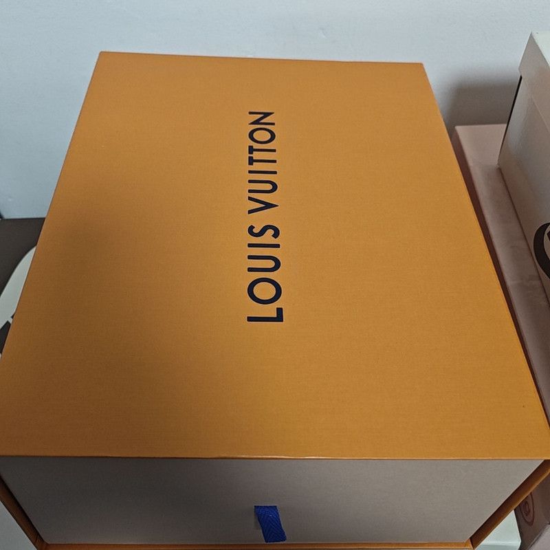 Louis Vuitton Louis Vuitton Trainer Maxi Low-Top Sneakers -2508 Size US 10.5 / EU 43-44 - 3 Thumbnail