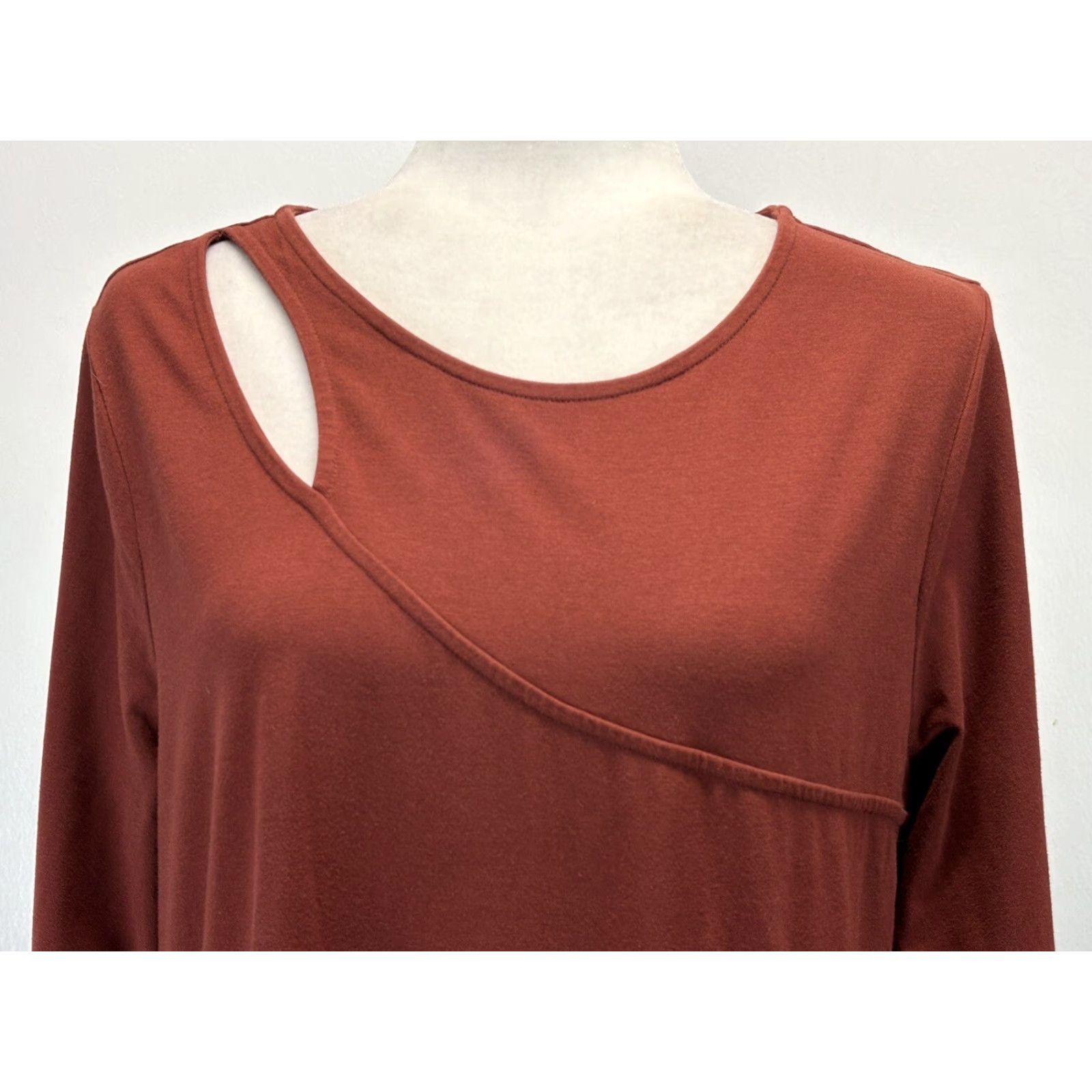 Soft Surroundings Soft Surroundings Stretch Jersey Midi Dress Sz Large Rust Cutout Asymmetric Hem Size L / US 10 / IT 46 - 5 Thumbnail