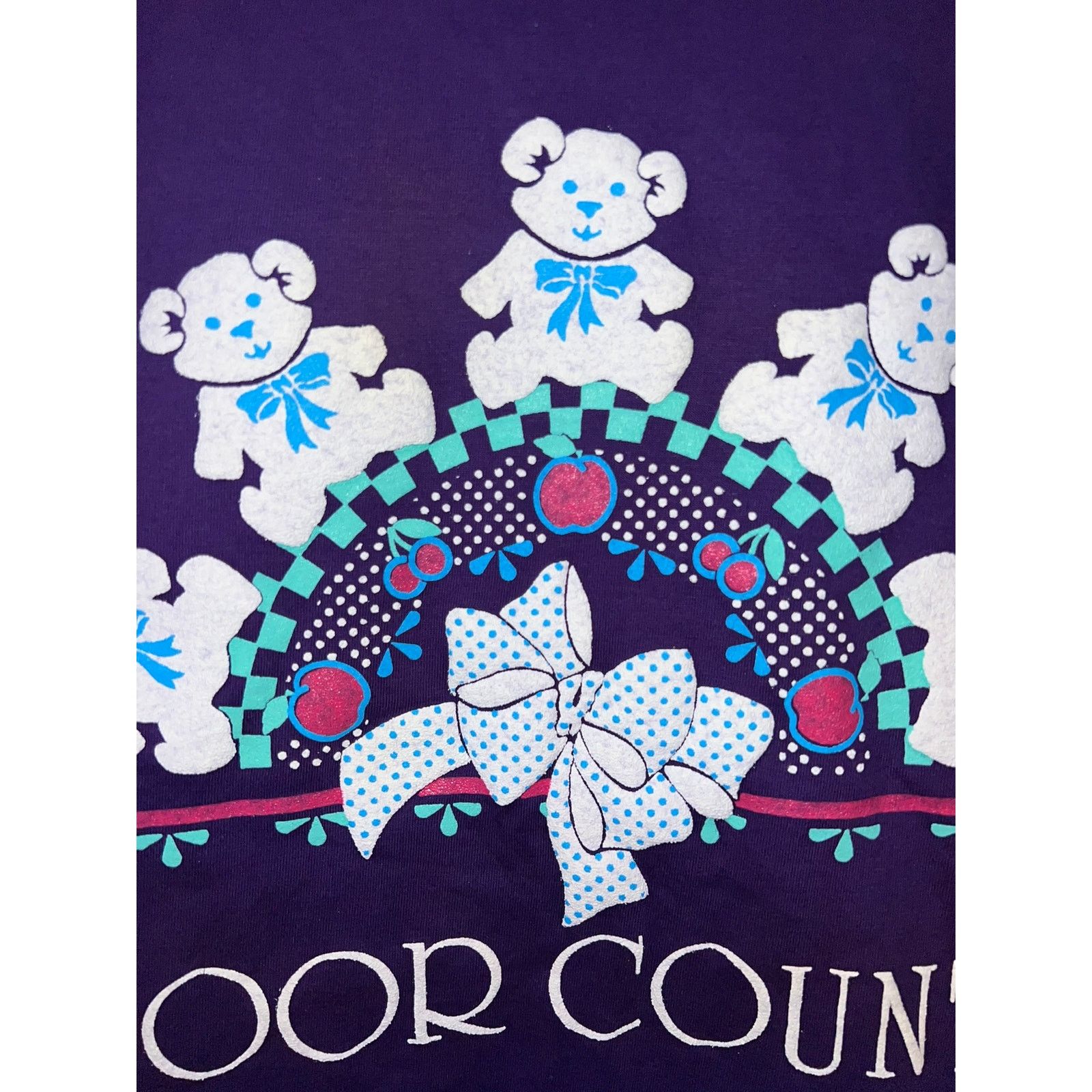 Jerzees Vintage Door County Shirt Purple bear Nature Tee VTG 90s L Size US L / EU 52-54 / 3 - 4 Thumbnail