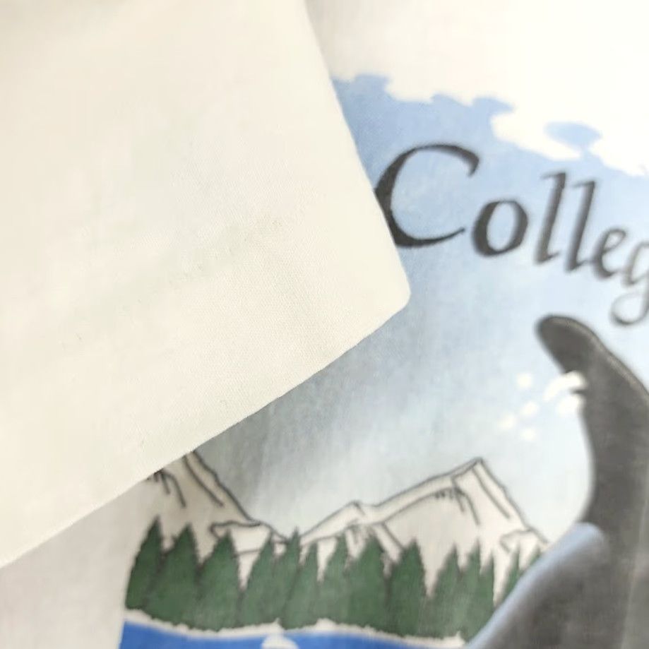 Vintage VINTAGE Killer Whale T Shirt Mens Large 90s College Fjord Alaska Glaciers Ocean Life Orca Navy White Crew Neck Short Sleeve Cotton T-Shirt Mens Size US L / EU 52-54 / 3 - 4 Thumbnail