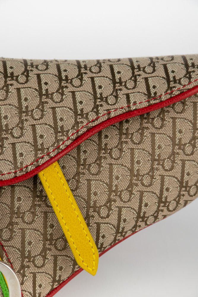 Dior Dior Rasta Trodder Saddle Belt Bag Size ONE SIZE - 11 Thumbnail