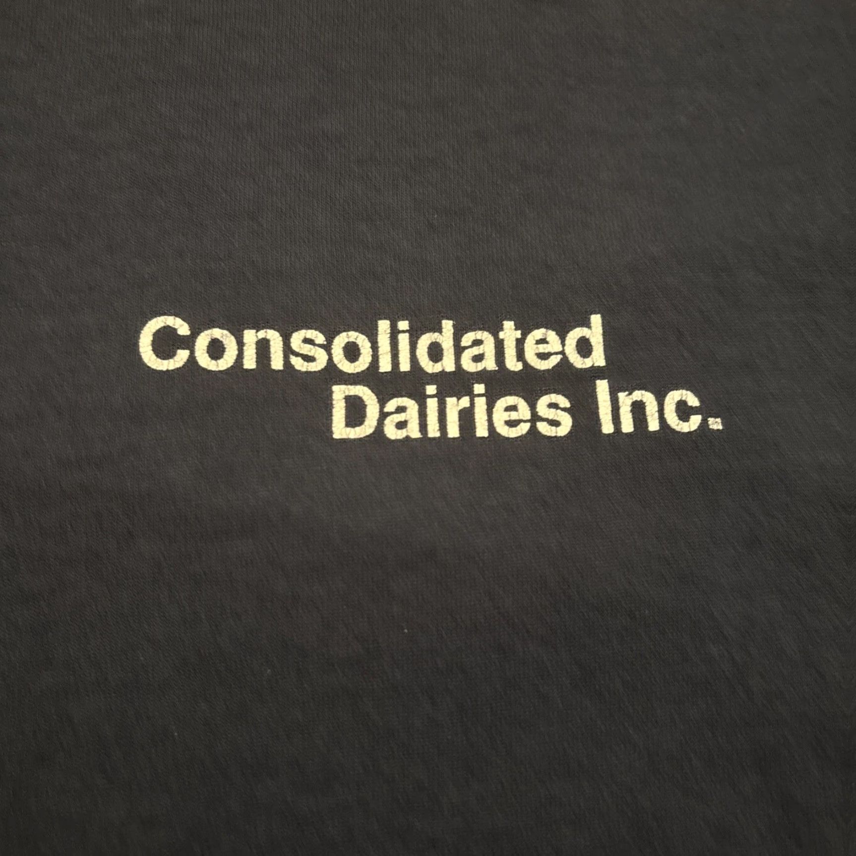 Fruit Of The Loom VINTAGE Fruit of the Loom T-Shirt Dairy Cow Size L Men Short Sleeve Crew Neck Blue Single Stitch Consolidated Dairies Inc. Size US L / EU 52-54 / 3 - 3 Thumbnail