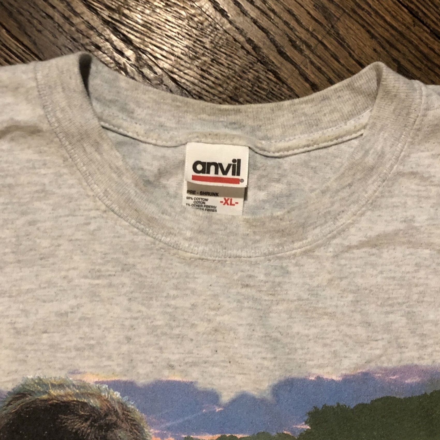 Anvil VINTAGE Anvil GRAPHIC T-SHIRT XL Boy Scouts Gray 2000s Swamp Area Camps Council Shirt Mens Size US XL / EU 56 / 4 - 6 Thumbnail