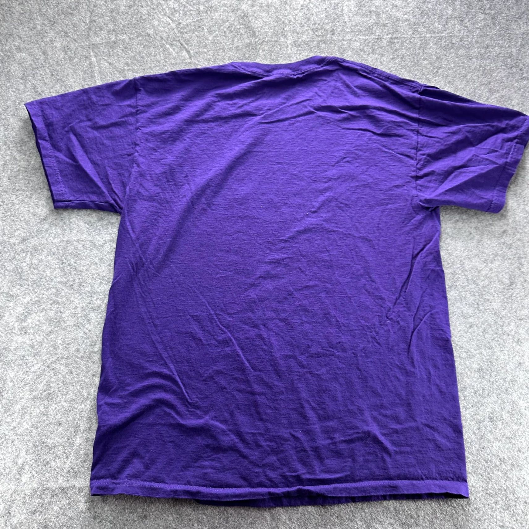 Jerzees Minnesota State Lottery Shirt Mens Large Purple Graphic Winner Funny Slogan Size US L / EU 52-54 / 3 - 7 Thumbnail