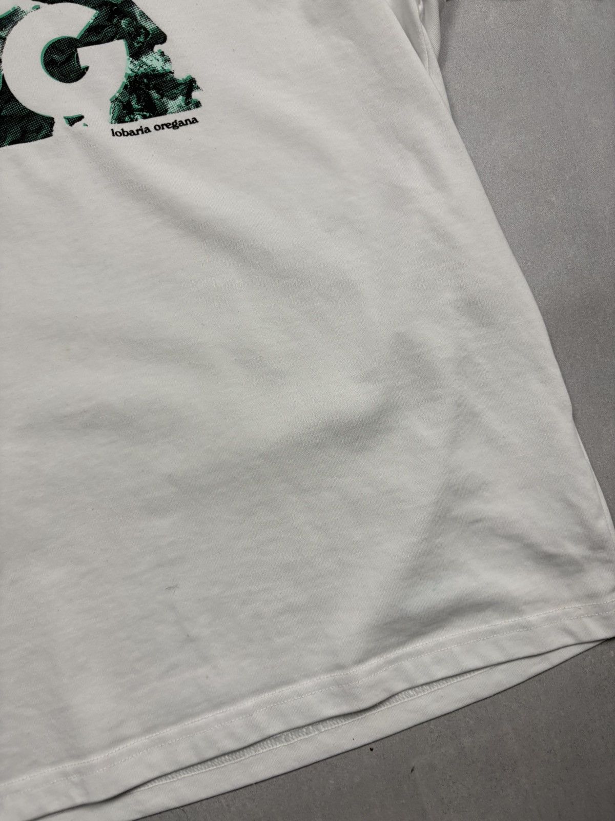 Nike ACG Nike ACG Big Logo Liking Liches Graphic T-Shirt White Medium Size US M / EU 48-50 / 2 - 3 Thumbnail