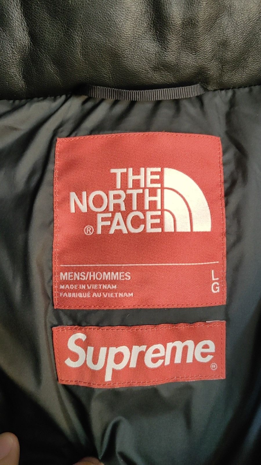 Supreme × The North Face Supreme TNF The North Face Leather Nuptse Jacket Puffy Coat Size US L / EU 52-54 / 3 - 3 Thumbnail