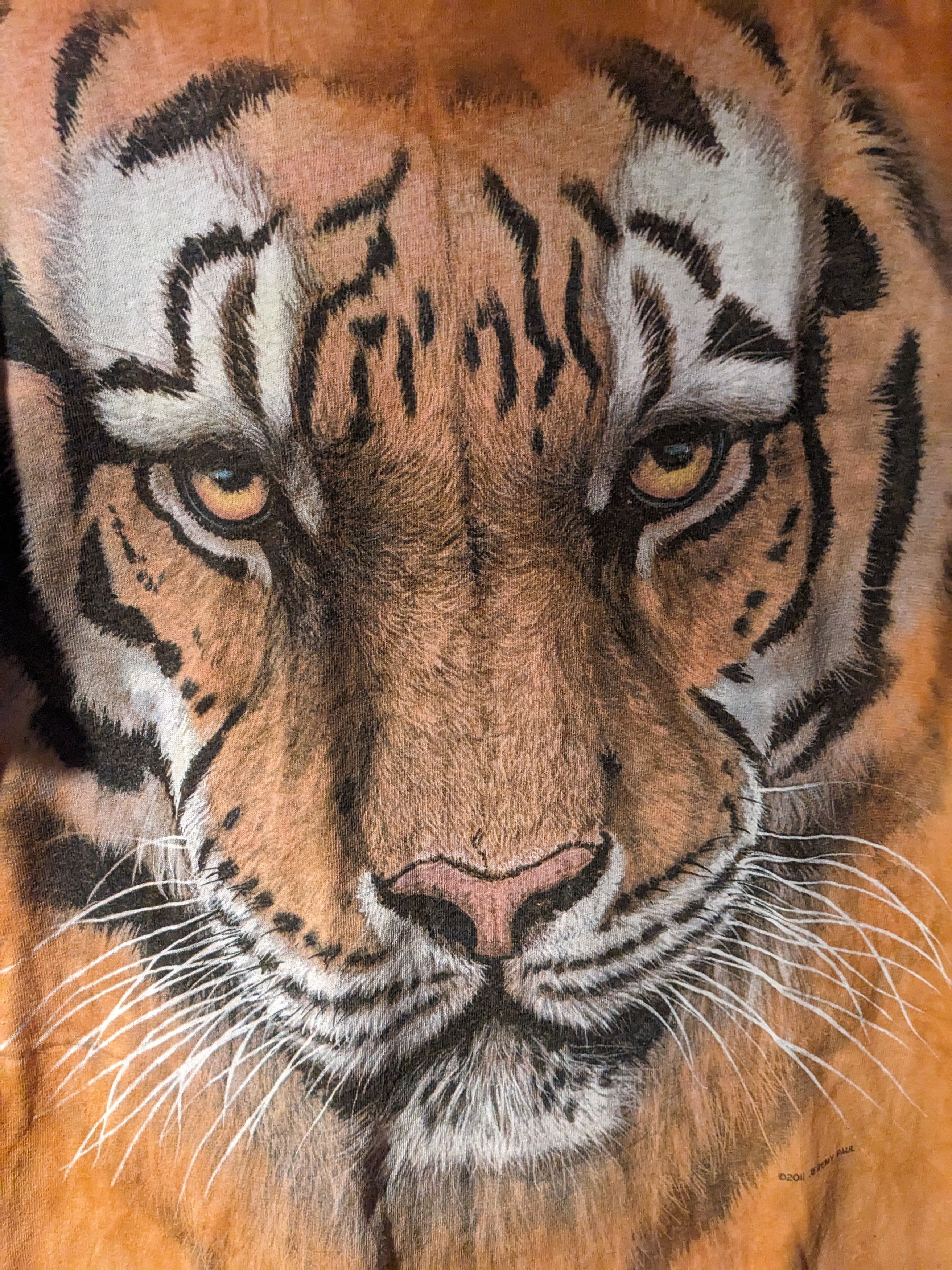 The Mountain Vintage 2011 Tiger Animal Nature Orange Large T-Shirt Size US L / EU 52-54 / 3 - 2 Thumbnail