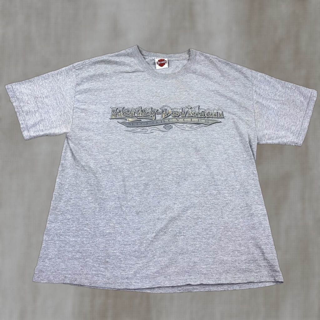 Harley Davidson Harley-Davidson Shirt Men XL Gray Biker Tee Eagle Nature Fire Flames Y2K Adult Size XL Gray Harley-Davidson Shirt Mens XL Gray 80s Retro Vintage? Size US XL / EU 56 / 4 - 1 Thumbnail