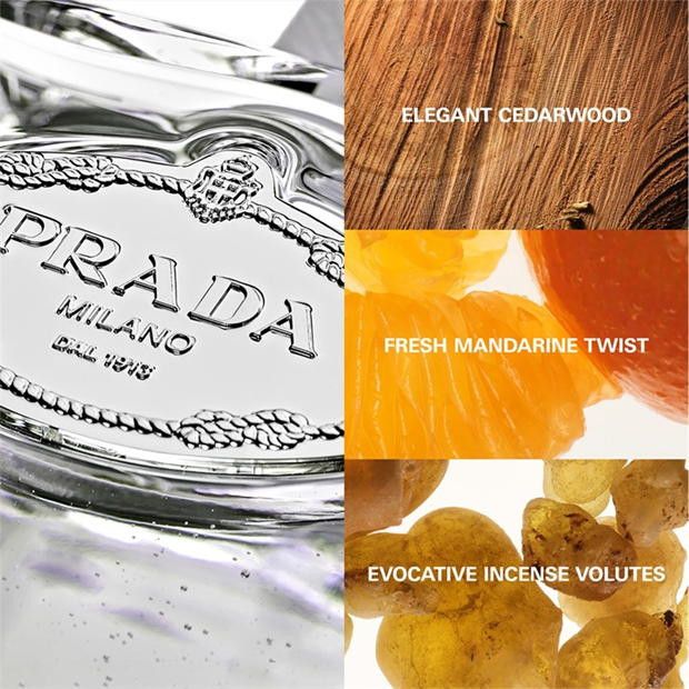 Prada Infusion de Cèdre Eau de Parfum 100ML Size ONE SIZE - 3 Thumbnail
