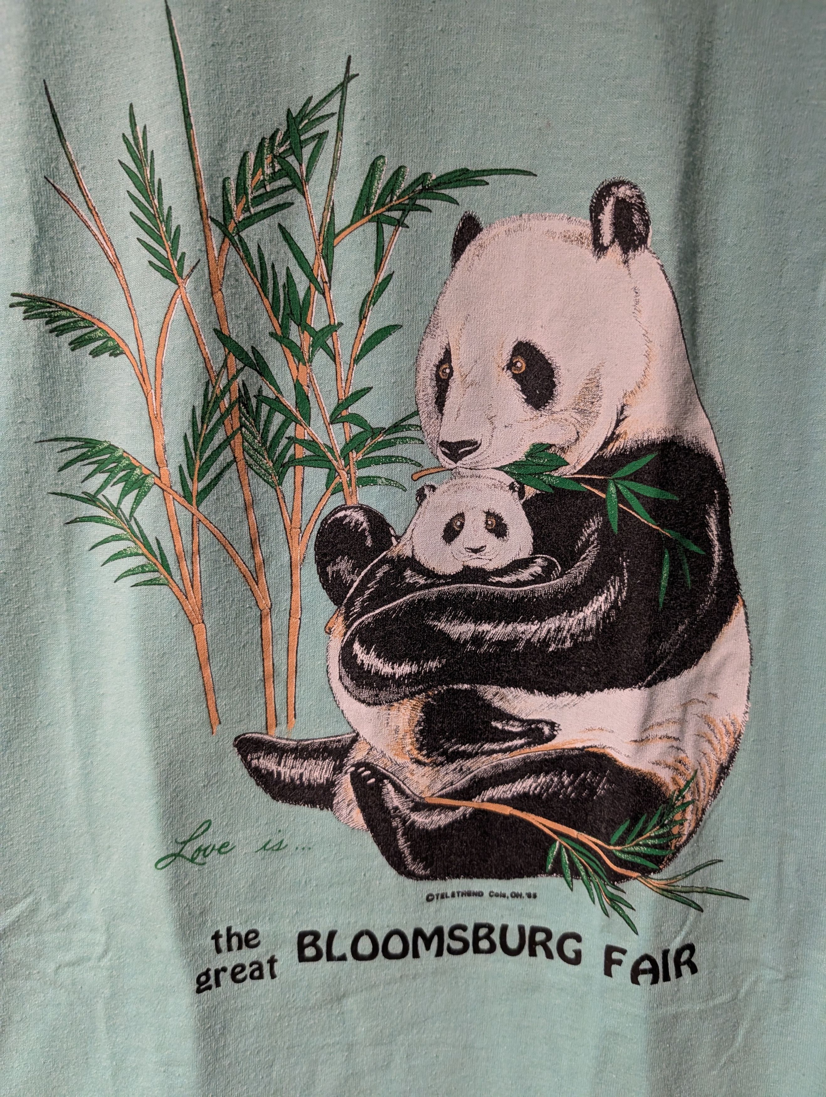 Arts & Science Vintage 1985 Panda Animal Nature Wildlife Medium T-Shirt Size US M / EU 48-50 / 2 - 2 Thumbnail