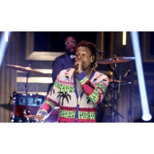 Saint Laurent Paris SAINT LAURENT DINO PALM HEDI SLIMANE SS16 CARDIGAN SWEATER Size US S / EU 44-46 / 1 - 9 Thumbnail