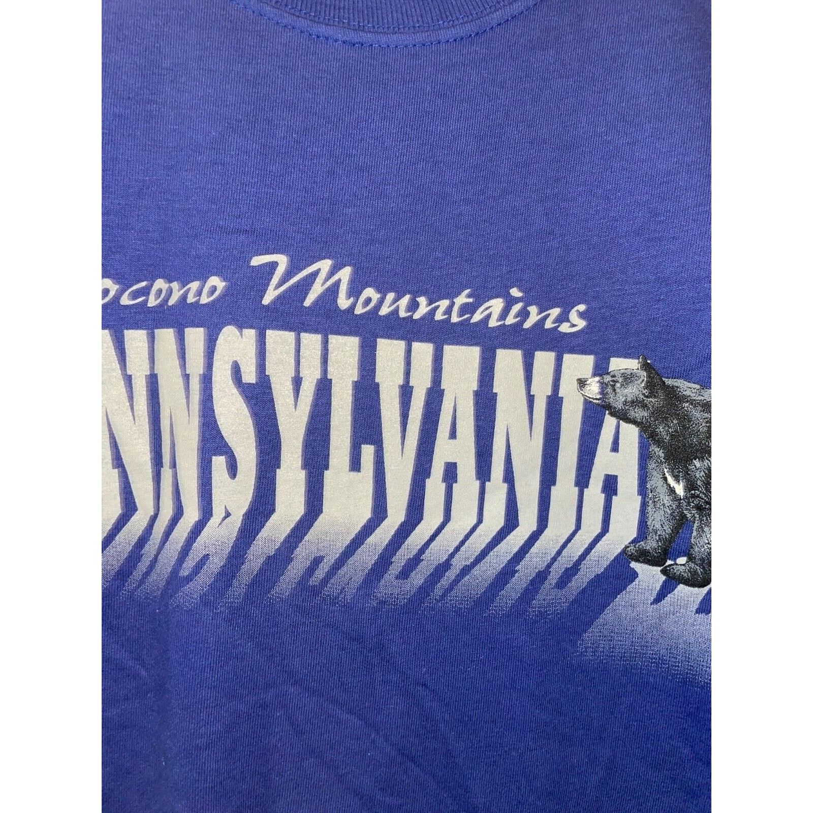 Anvil Vintage Pocono Mountains Long Sleeve Shirt Bear Tee 90s L Size US L / EU 52-54 / 3 - 4 Thumbnail