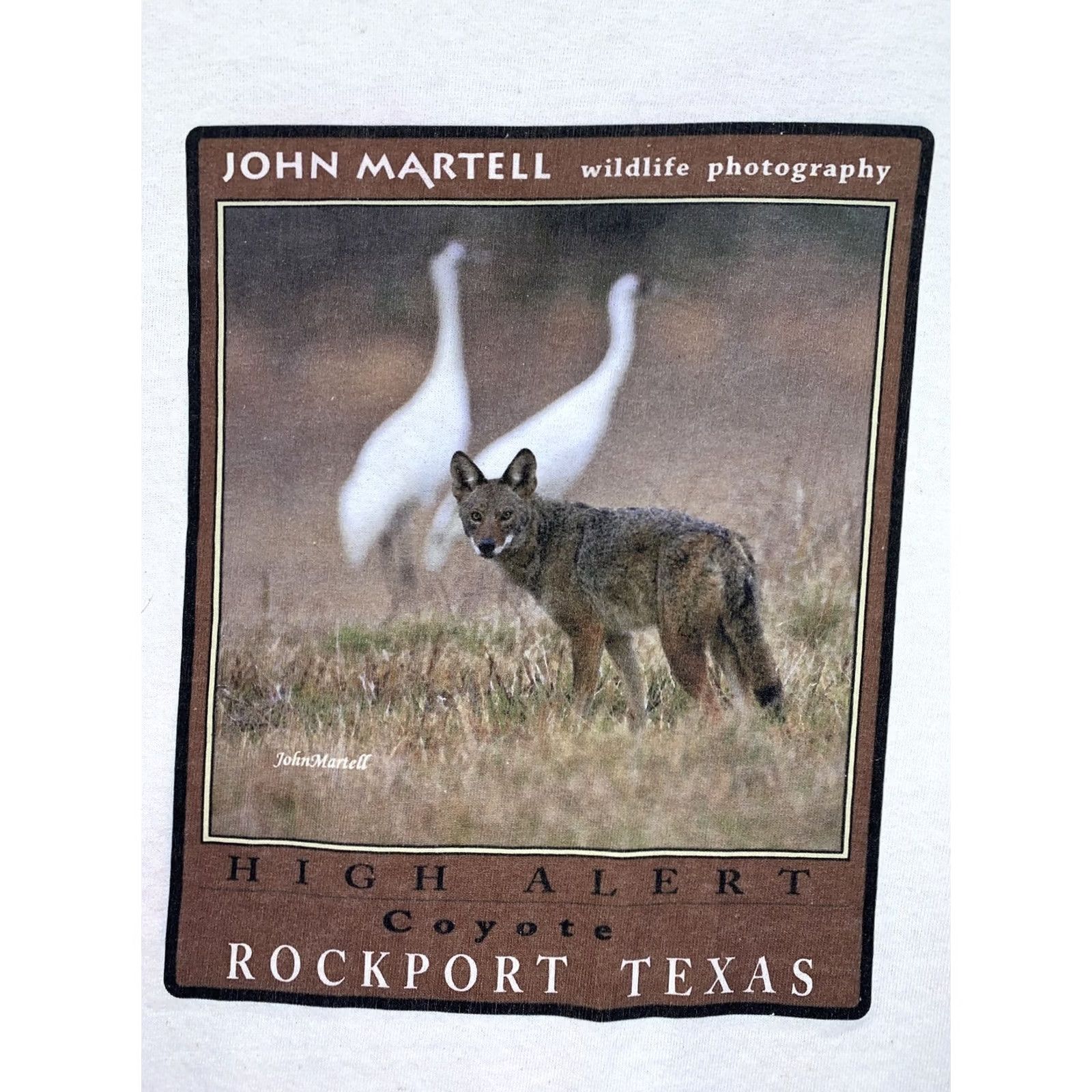 Gildan Gildan T-Shirt John Martell Wildlife Photography Coyote Rockport Texas Ivory 90s Outdoors Animals Nature Crew Neck Short Sleeve Large Mens Mens XL? Size US L / EU 52-54 / 3 - 2 Thumbnail