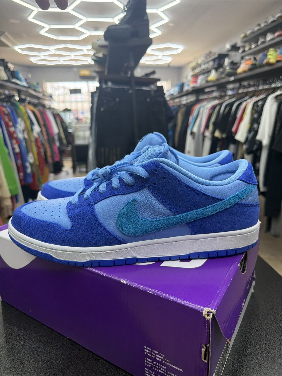 Nike SB Nike SB Dunk Low Pro Blue Raspberry Fruity Pack size 14 Size US 14 / EU 47 - 14 Thumbnail