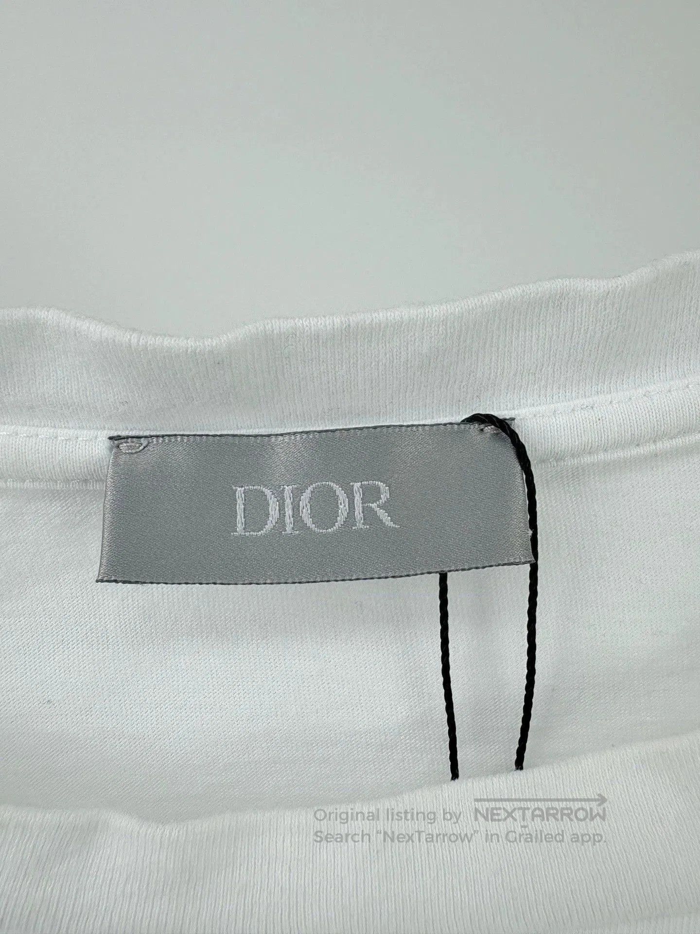 dior short sleeve dinosaur graphic t-shirt.