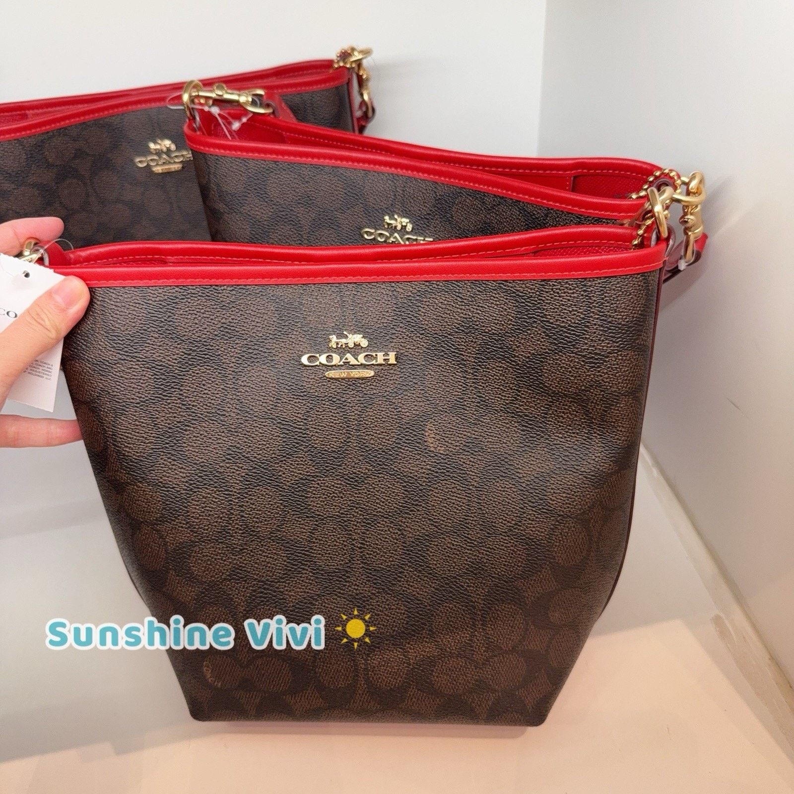 NWT Coach City Bucket Bag Ct800 Gold/walnut/bold Red, Women's