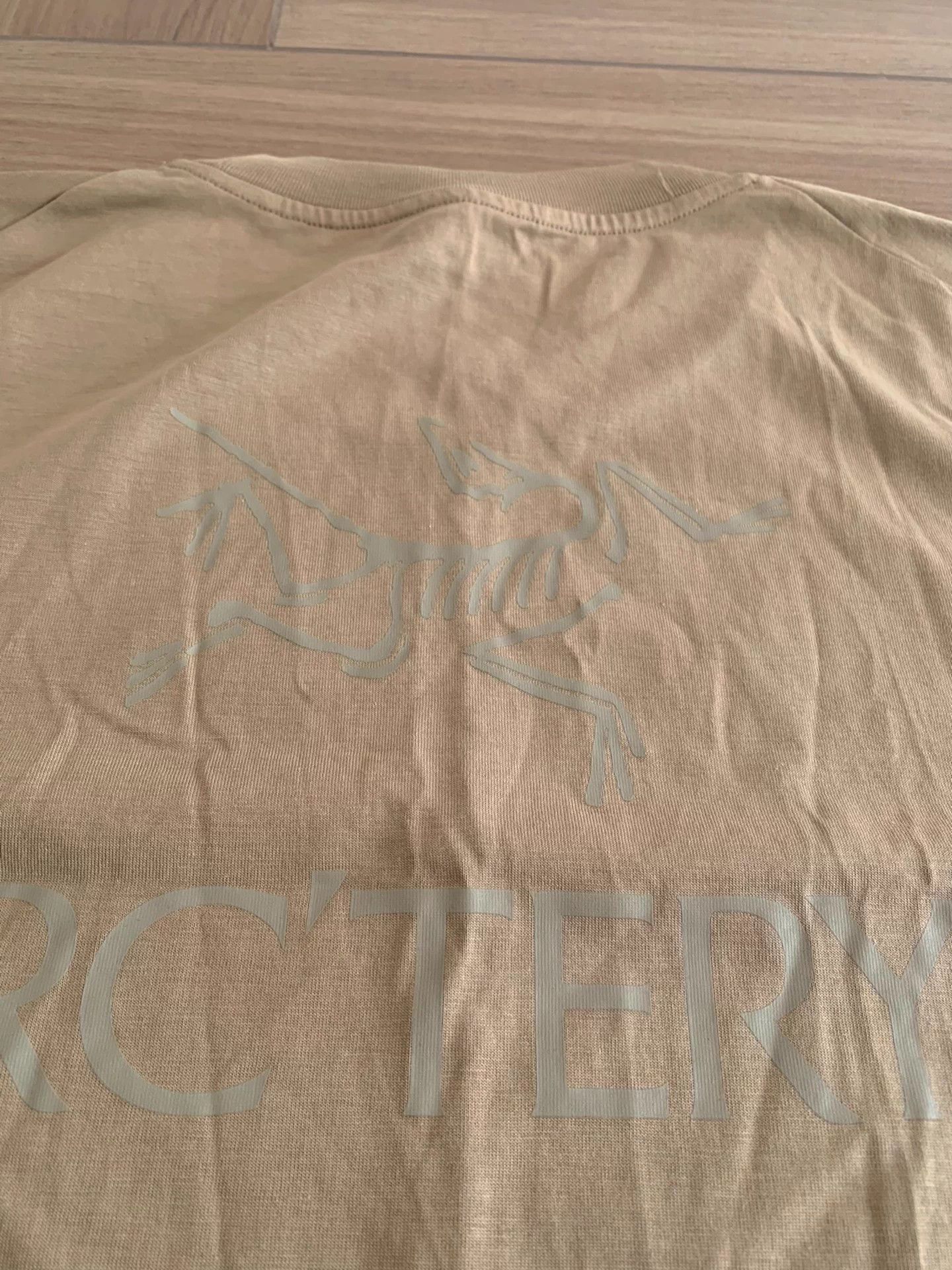 Arc'teryx Arc'teryx Kragg SL Cotton Bird SS Tee Men Sand Clay L Size US L / EU 52-54 / 3 - 3 Thumbnail