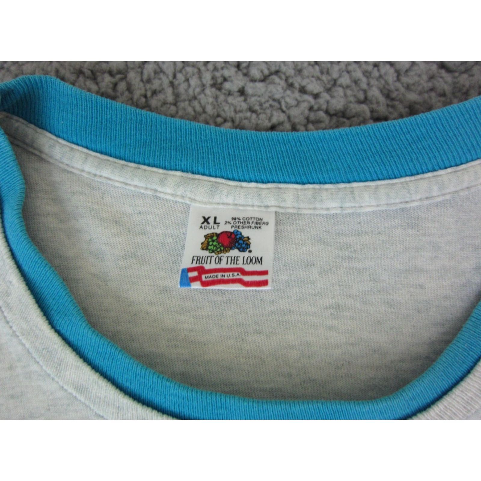 Fruit Of The Loom VINTAGE Fruit of the Loom Shirt Mens XL Gray USA 70s 80s 90s Cat Classic School USA T-Shirt Crew Neck Short Sleeve Cotton Athletic Size US XL / EU 56 / 4 - 5 Thumbnail