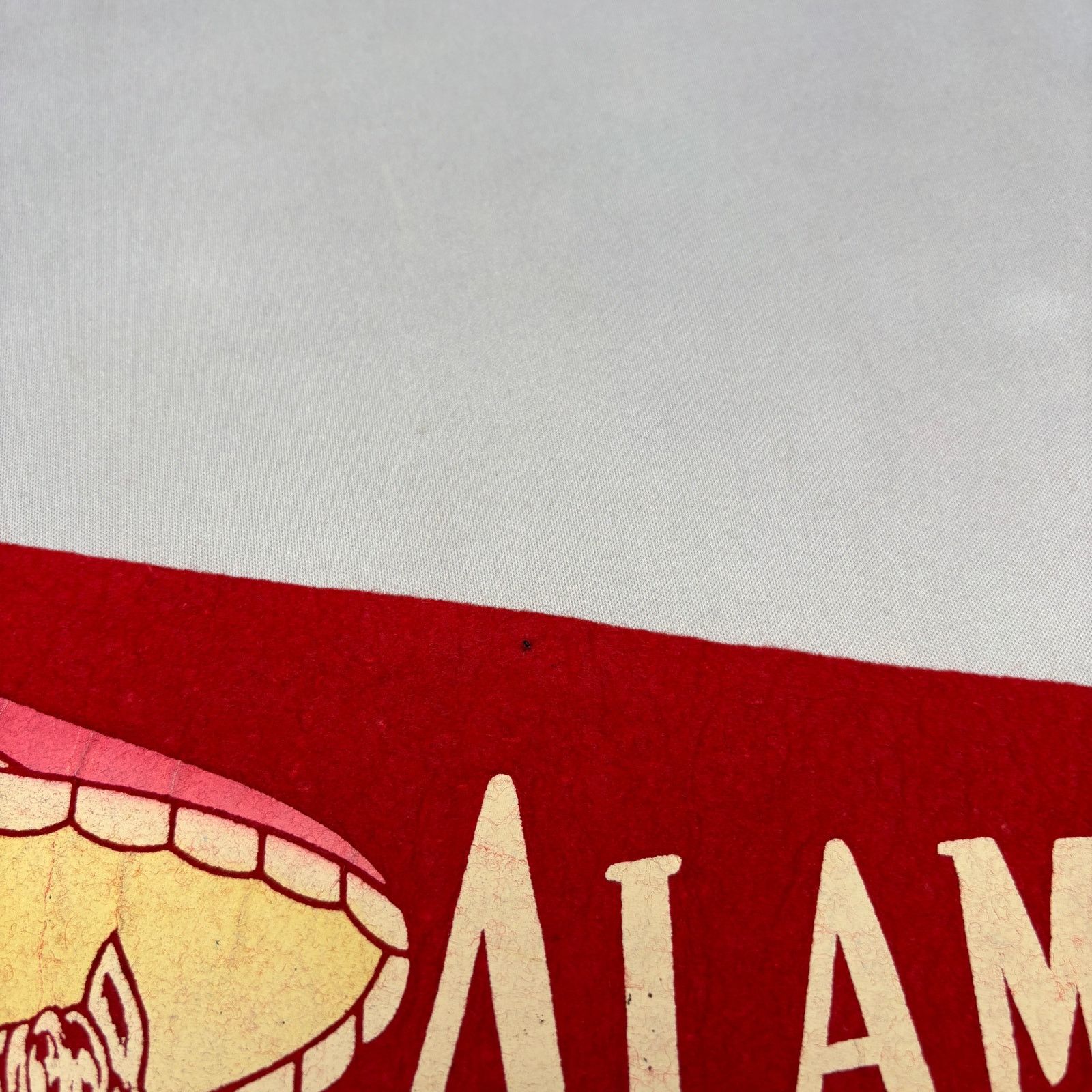 Vintage Vintage Alameda County Fair Pleasanton Felt Pennant 1950s Size ONE SIZE - 6 Thumbnail