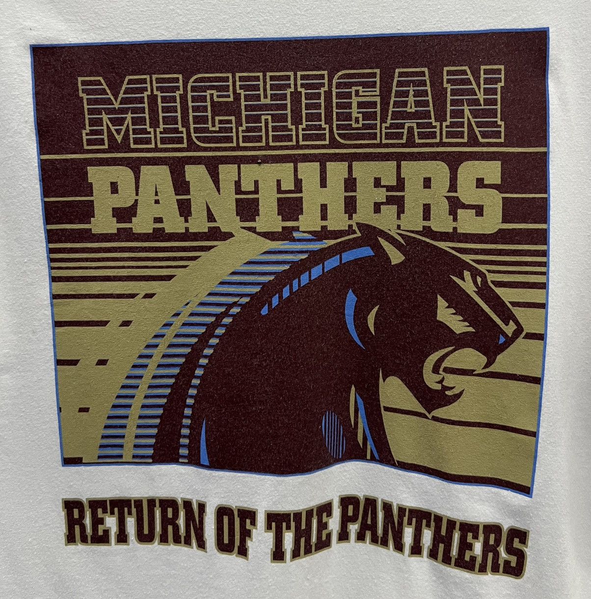 Fruit Of The Loom × Vintage AMERICAN FOOTBALL TEAM MICHIGAN PANTHERS SHIRT Size US L / EU 52-54 / 3 - 3 Thumbnail