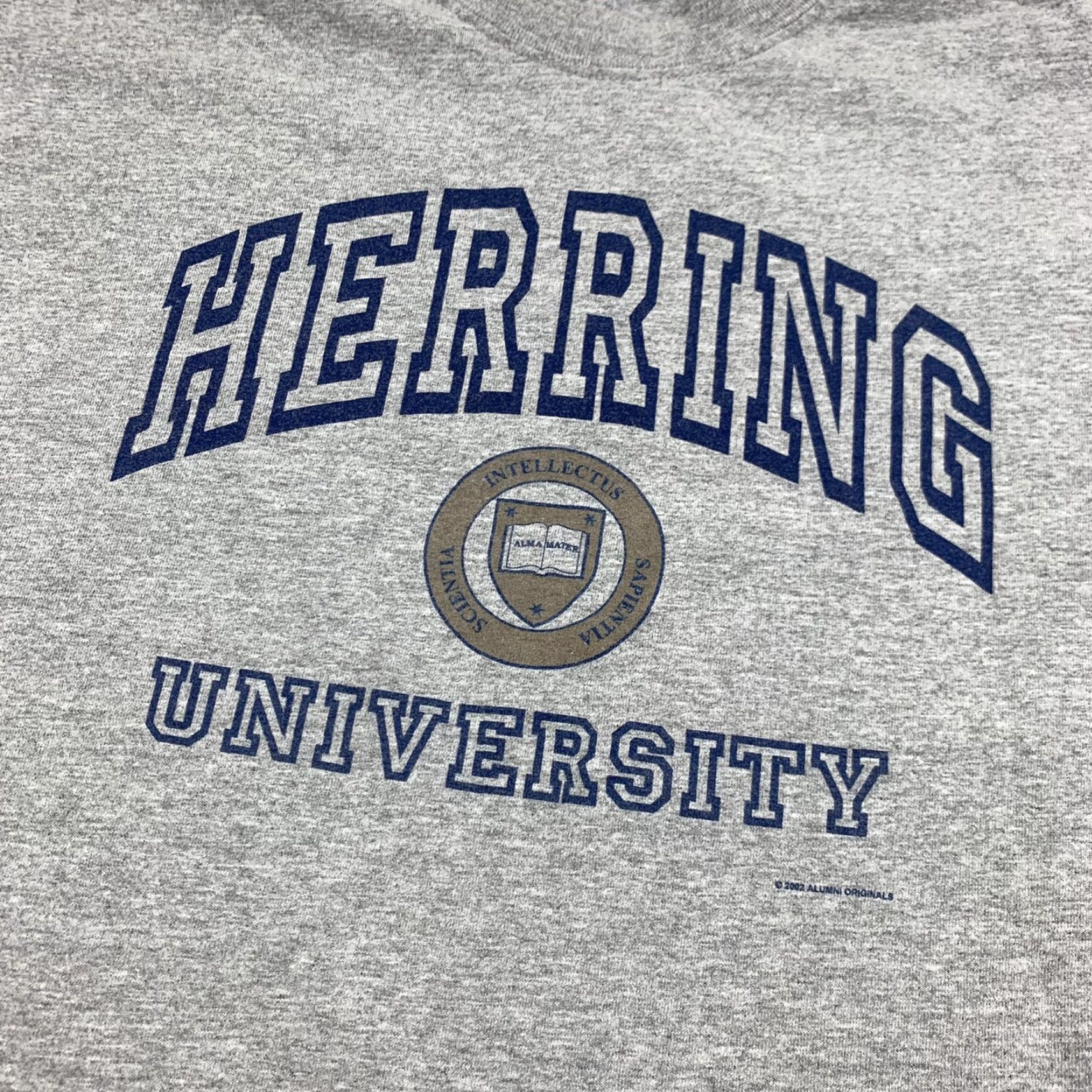 Gildan VINTAGE Herring University T Shirt Adult XL Gray College School 2002 Alumni Size US XL / EU 56 / 4 - 2 Thumbnail