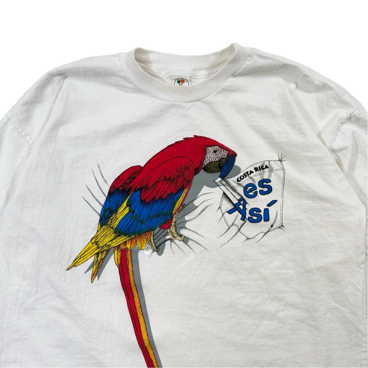 Vintage Vintage 90s Costa Rica Big Print Parrot Graphic T Shirt Size US L / EU 52-54 / 3 - 2 Thumbnail