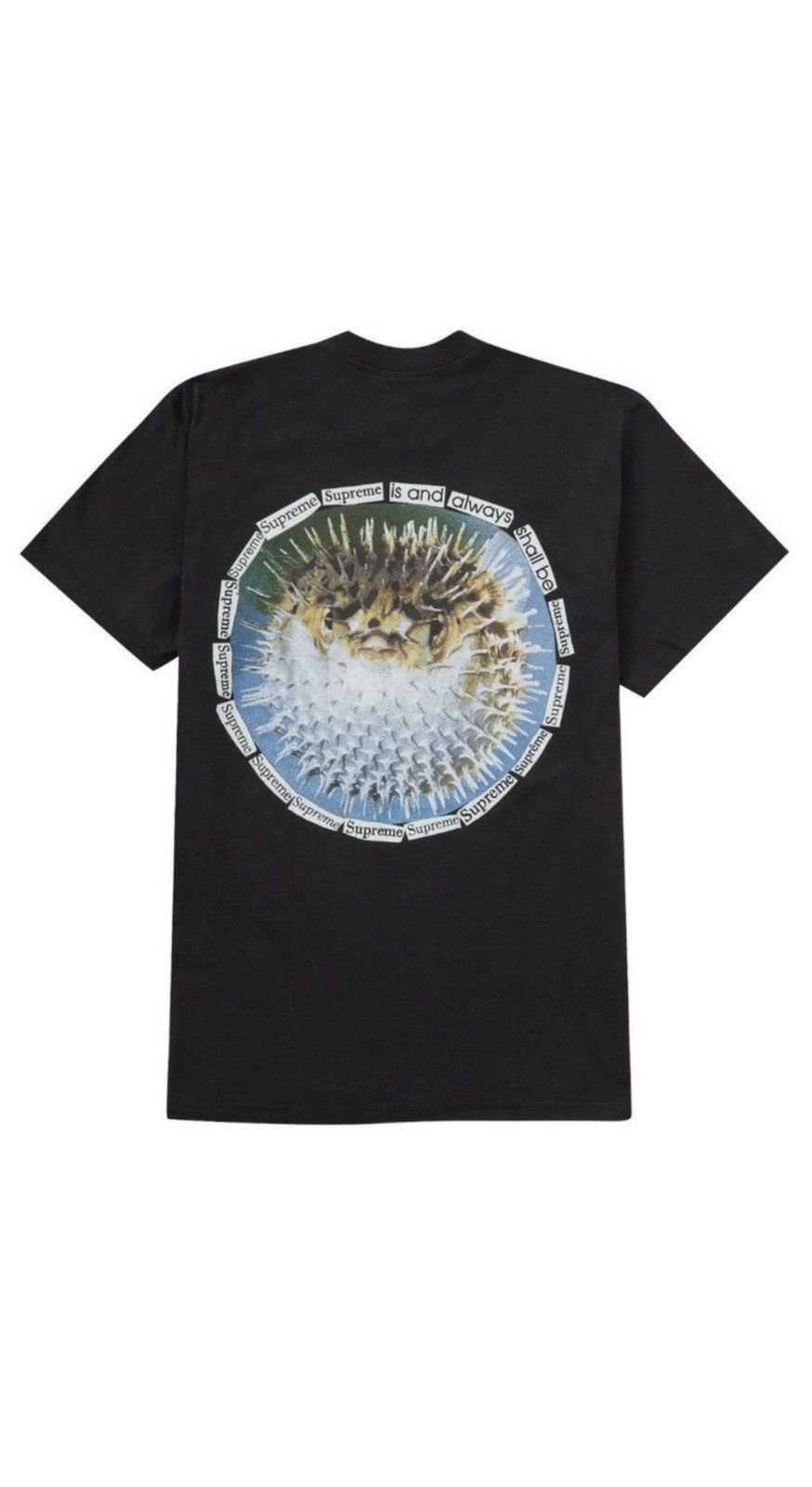 Supreme Blowfish tee Size US L / EU 52-54 / 3 - 2 Thumbnail