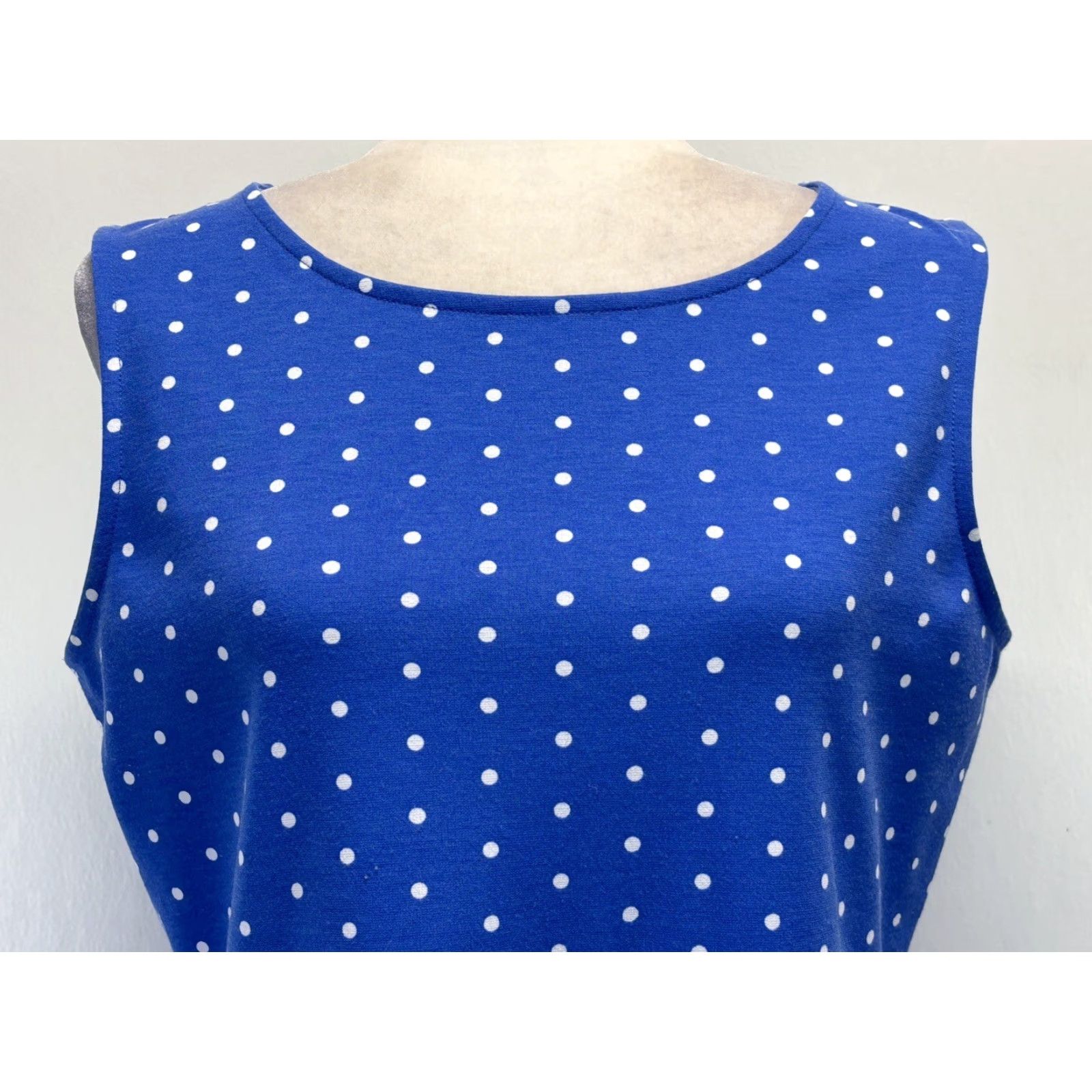 Talbots Talbots Dress Sleeveless Polka Dot Womens L Blue Fit & Flare Knee Length Casual Travel Size L / US 10 / IT 46 - 5 Thumbnail