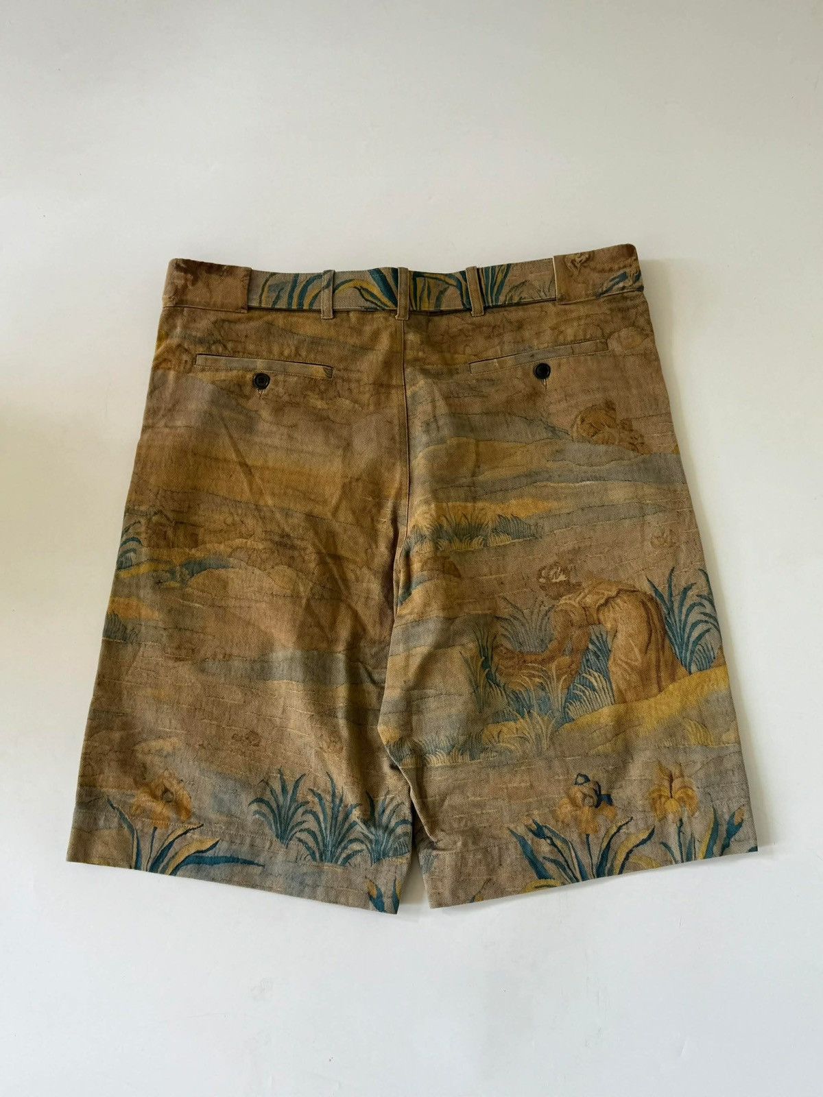 Dries Van Noten Dries Van Noten Pastoral Tapestry Print Shorts Size US 43 - 2 Thumbnail