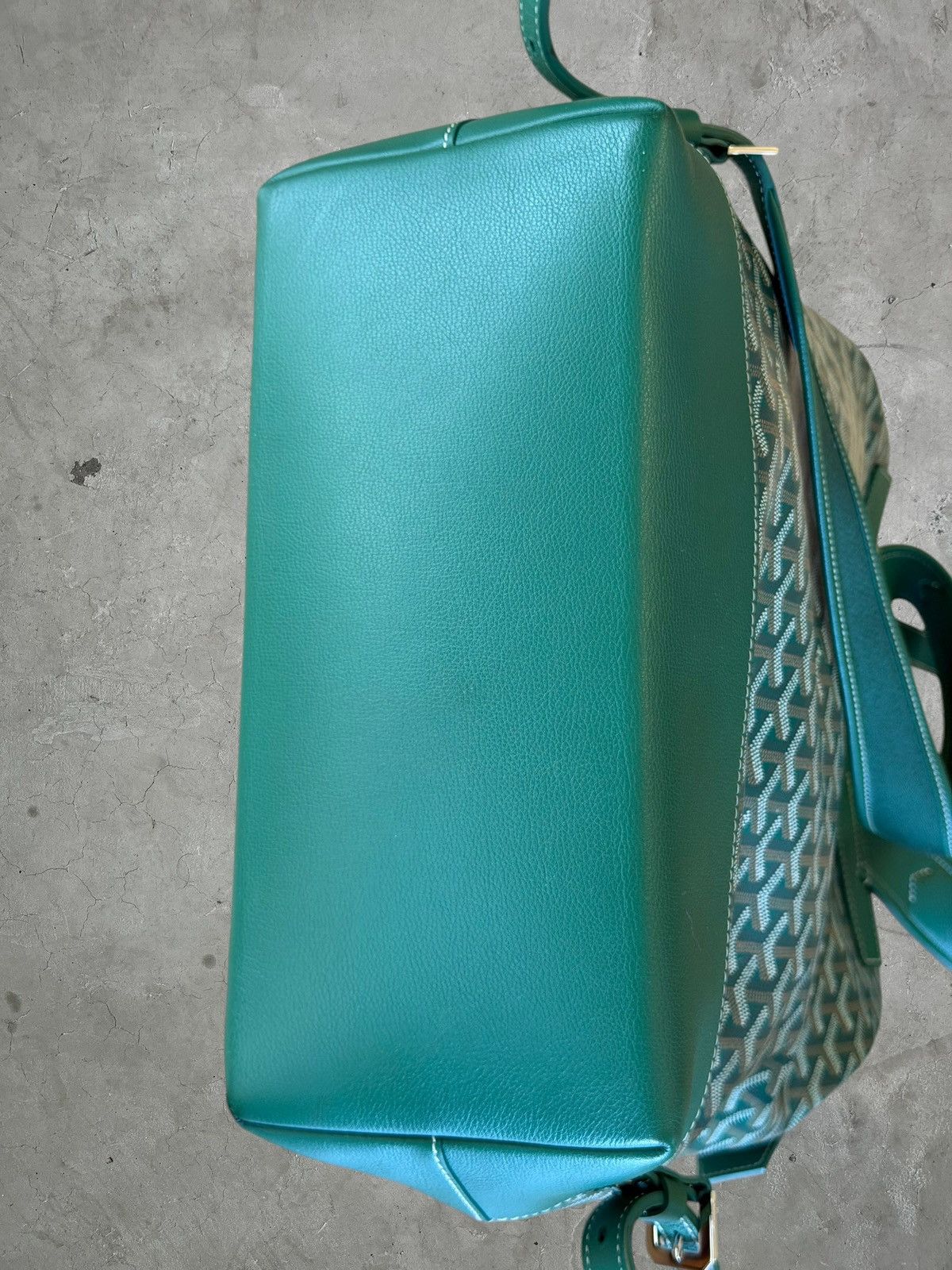 Goyard Goyard Green Cisalpin Backpack Size ONE SIZE - 11 Thumbnail