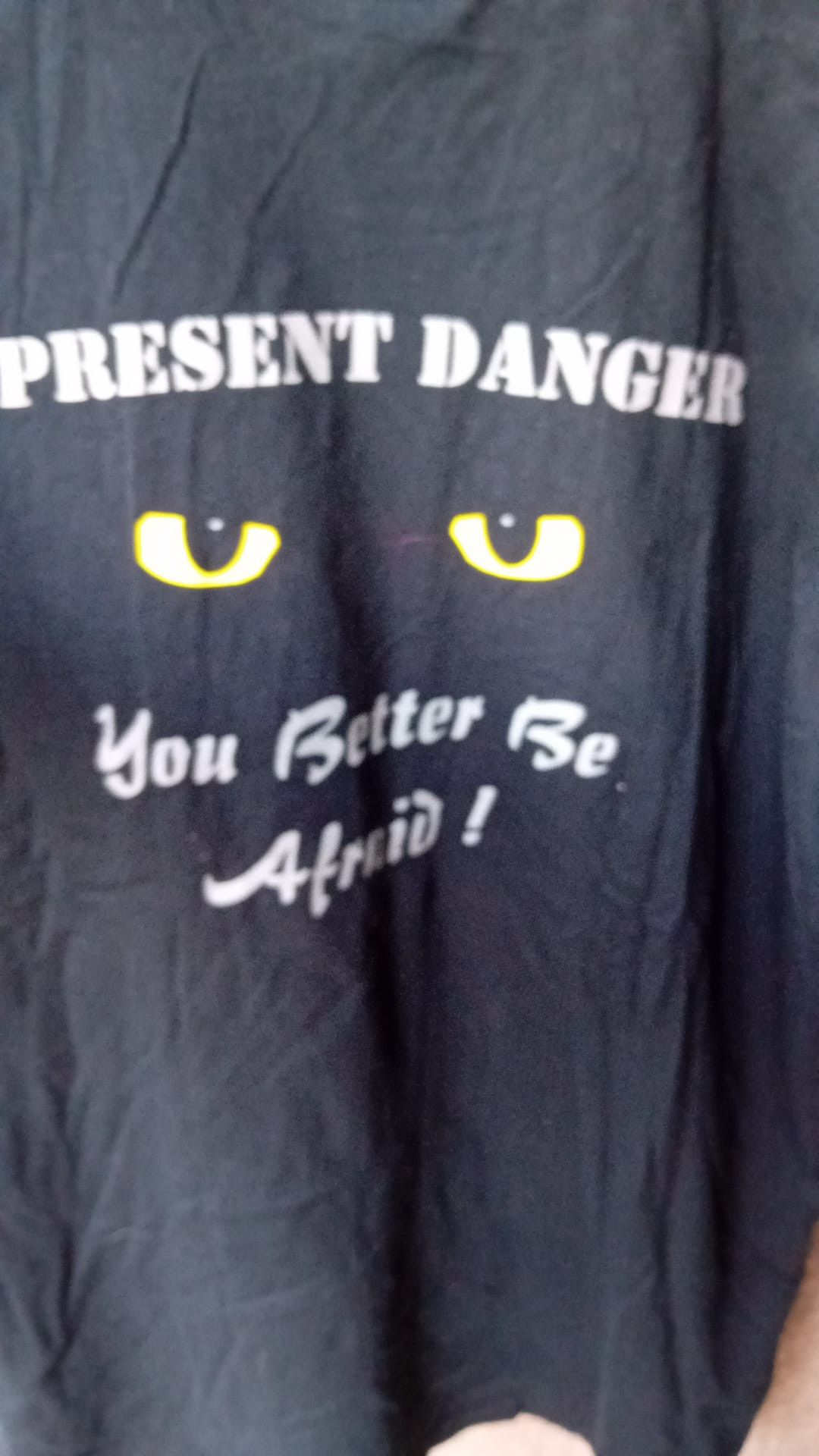 Band Tees Present Danger You Better Be Afraid doublesided Band tee XXL Size US XXL / EU 58 / 5 - 5 Thumbnail