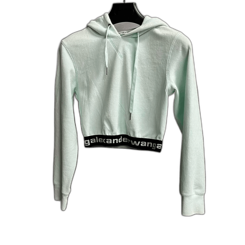 Alexander Wang Alexander Wang Cropped Hoodie with Logo Size US XS / EU 42 / 0 - 1 Thumbnail