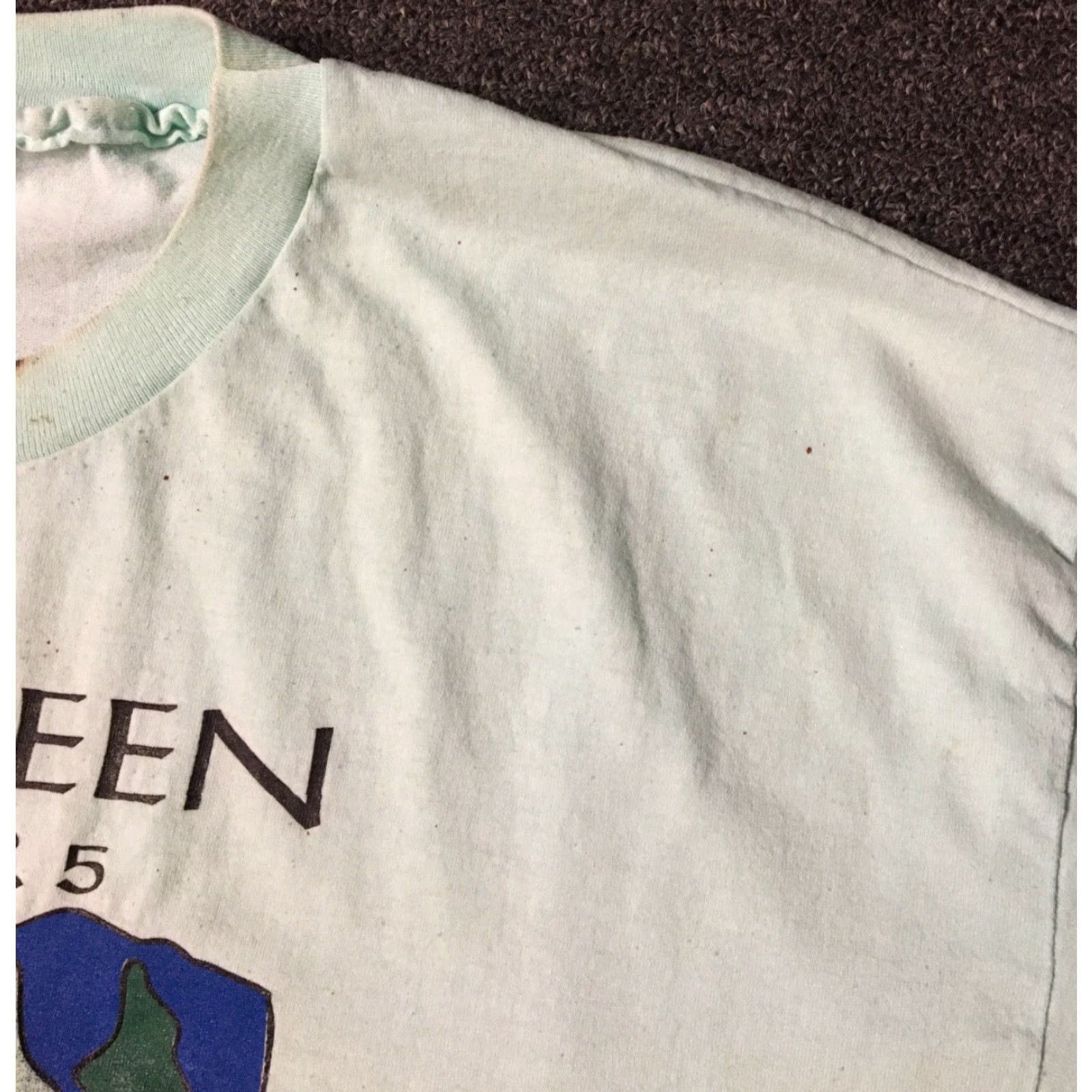 Evergreen VINTAGE Washington Evergreen State Shirt XL USA 90s Grunge Nature Distressed Single Stitch Mens T-Shirt Green Size US XL / EU 56 / 4 - 6 Thumbnail