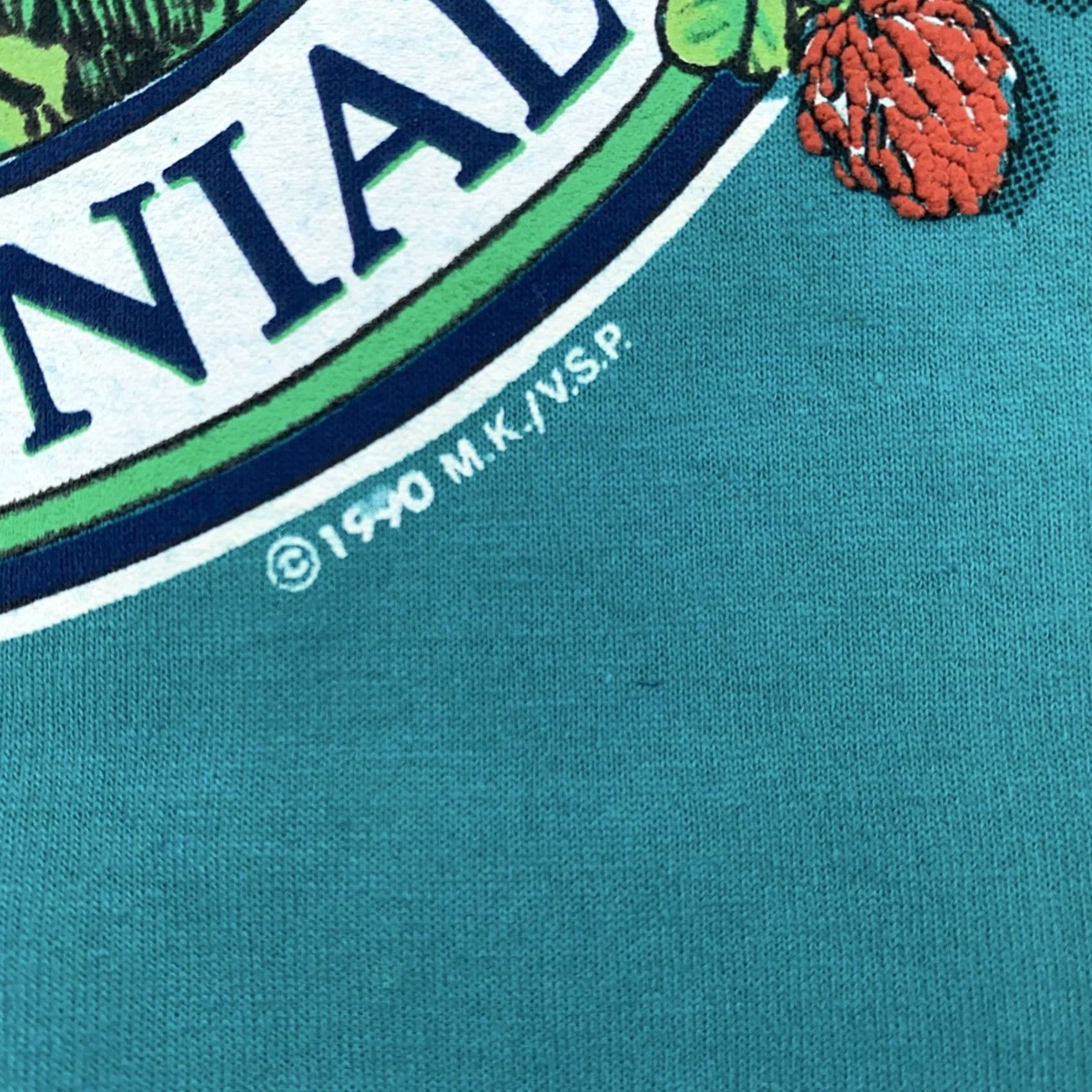 Hanes VINTAGE Vermont Bicentennial Shirt Mens L Green USA 90s Nature Mountain Hanes Shirt Mens L Green 90s Patriotic Graphic Print CTN Size US L / EU 52-54 / 3 - 4 Thumbnail