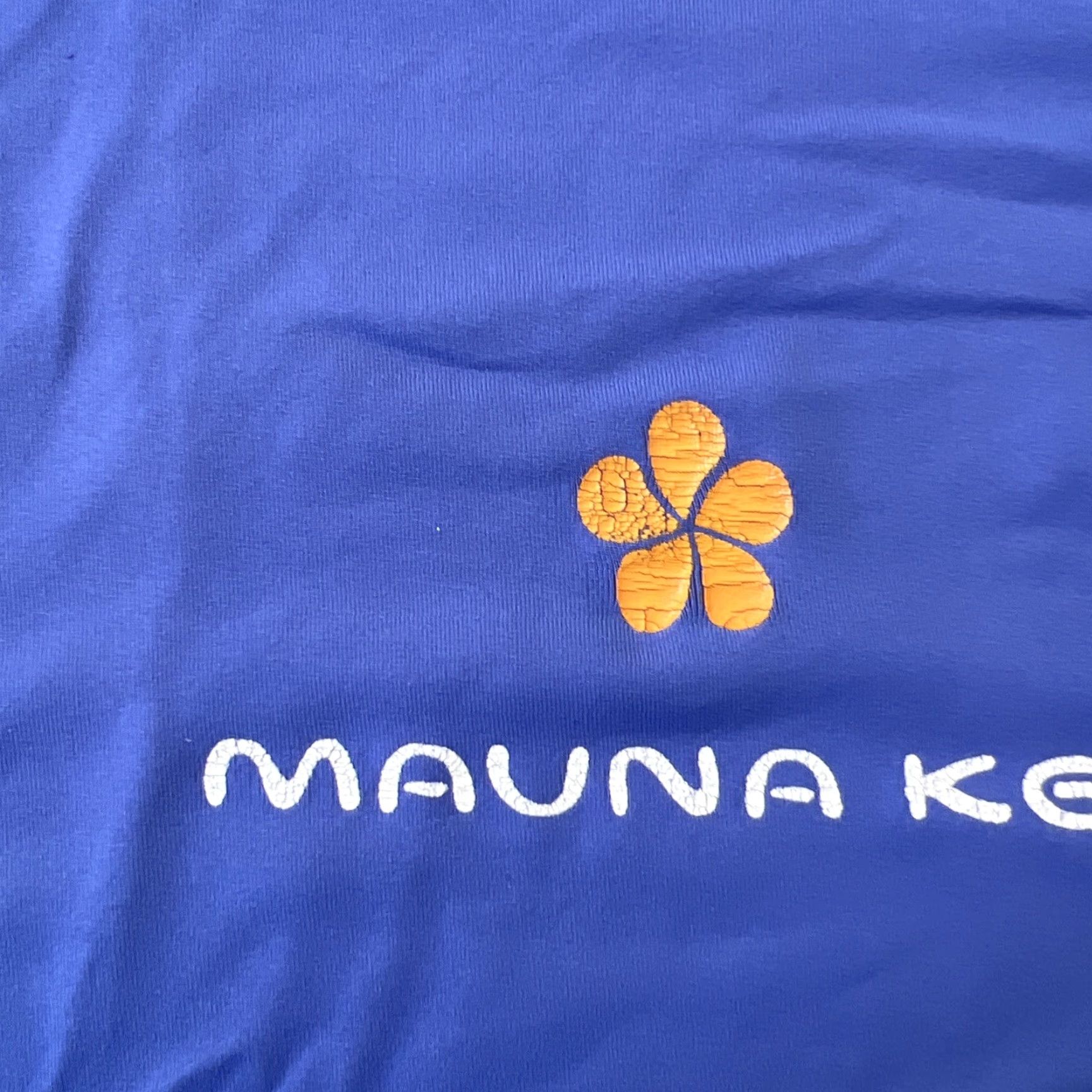 Vintage VINTAGE Mauna Kea Hotel Orange Flower Logo Rash Guard Long Sleeve Shirt Jersey M Blue Bloq-UV Surfer Retro Size US M / EU 48-50 / 2 - 3 Thumbnail