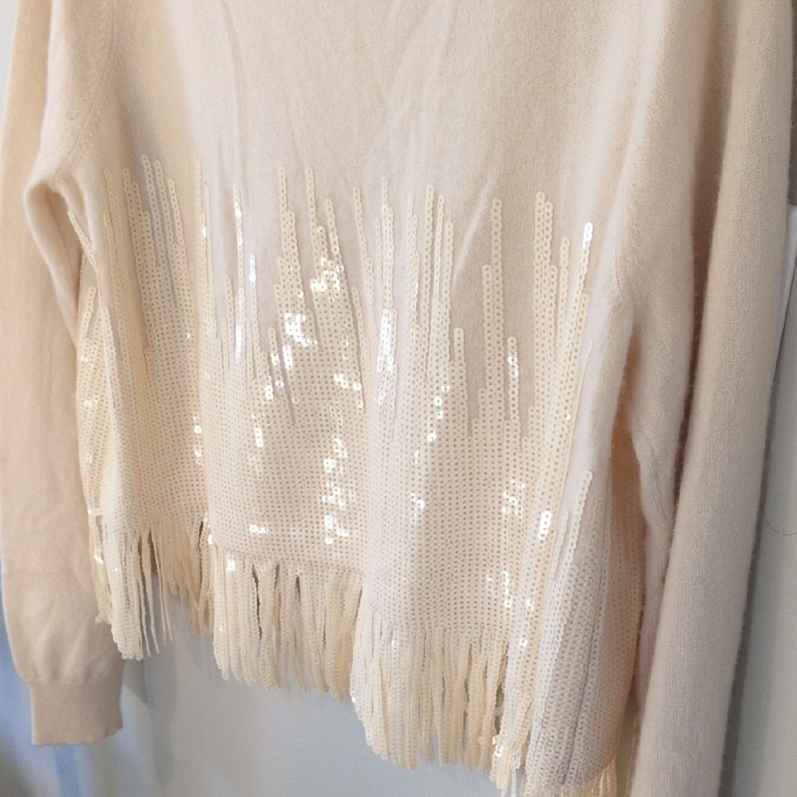 Pinko Pinko Cream Wool Cashmere Sweater Fringe Sequins Medium Size M / US 6-8 / IT 42-44 - 4 Thumbnail