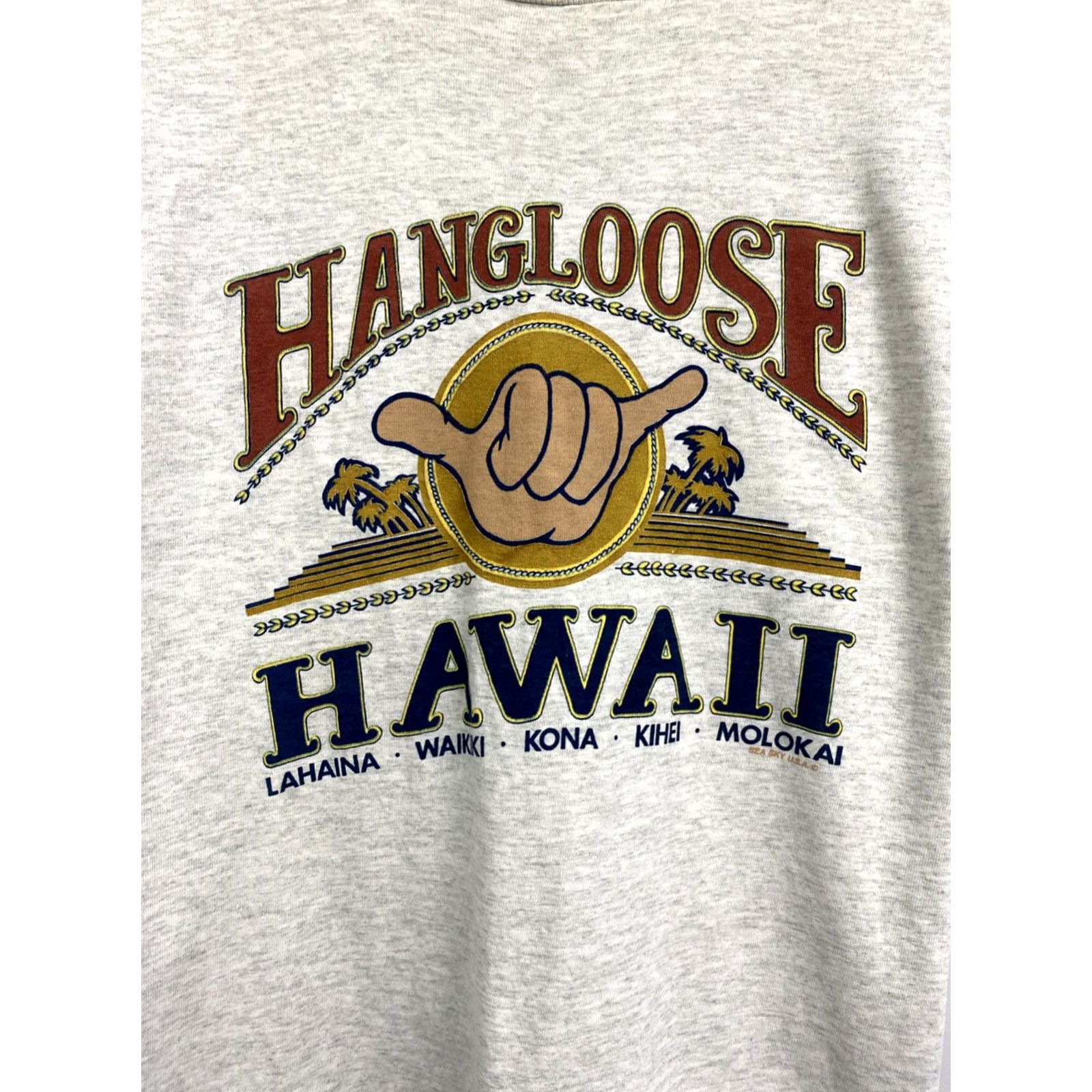 Gildan VINTAGE 90s Hang loose Surfing Hawaii Aloha t-shirt hype Nike Shirt Gray L Mens Size US L / EU 52-54 / 3 - 5 Thumbnail