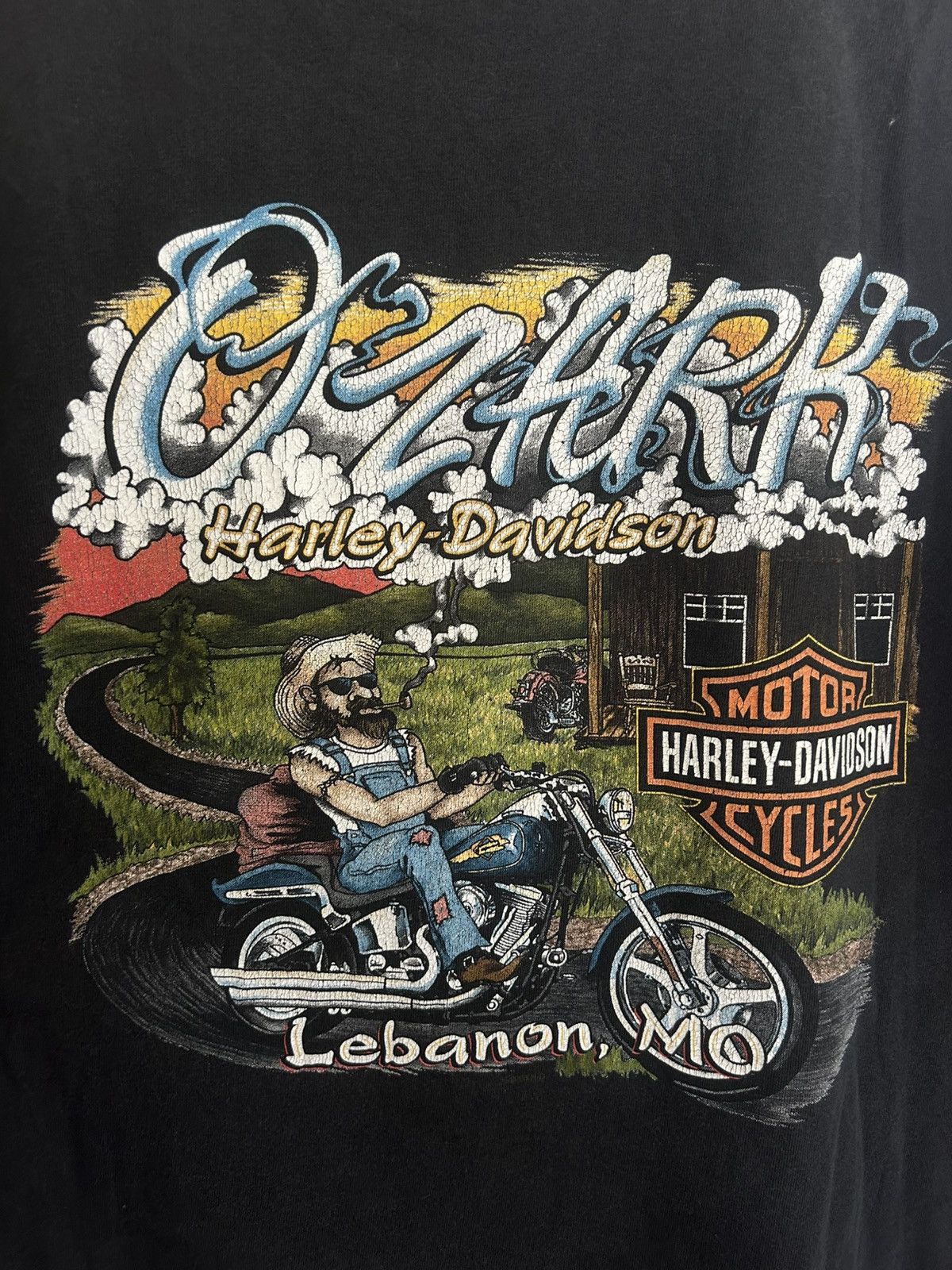 Harley Davidson Harley Davidson Hawg Wild Ozark Graphic T-shirt Size US L / EU 52-54 / 3 - 6 Thumbnail
