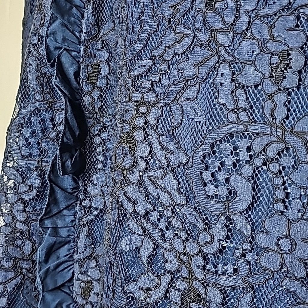 The Unbranded Brand NWOT Eloquii blue floral lace A-line skirt ruffles sz 22 Size 22" - 4 Thumbnail