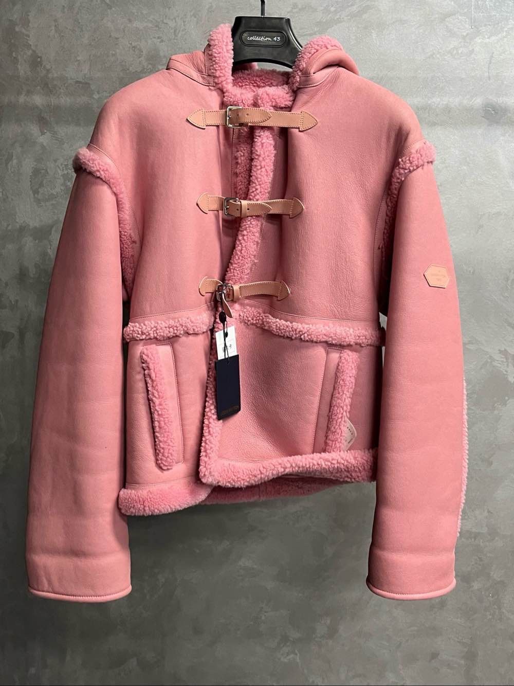 Louis Vuitton Louis Vuitton Pink Shearling Hooded Coat Size 38 Size XS / US 0-2 / IT 36-38 - 1 Thumbnail