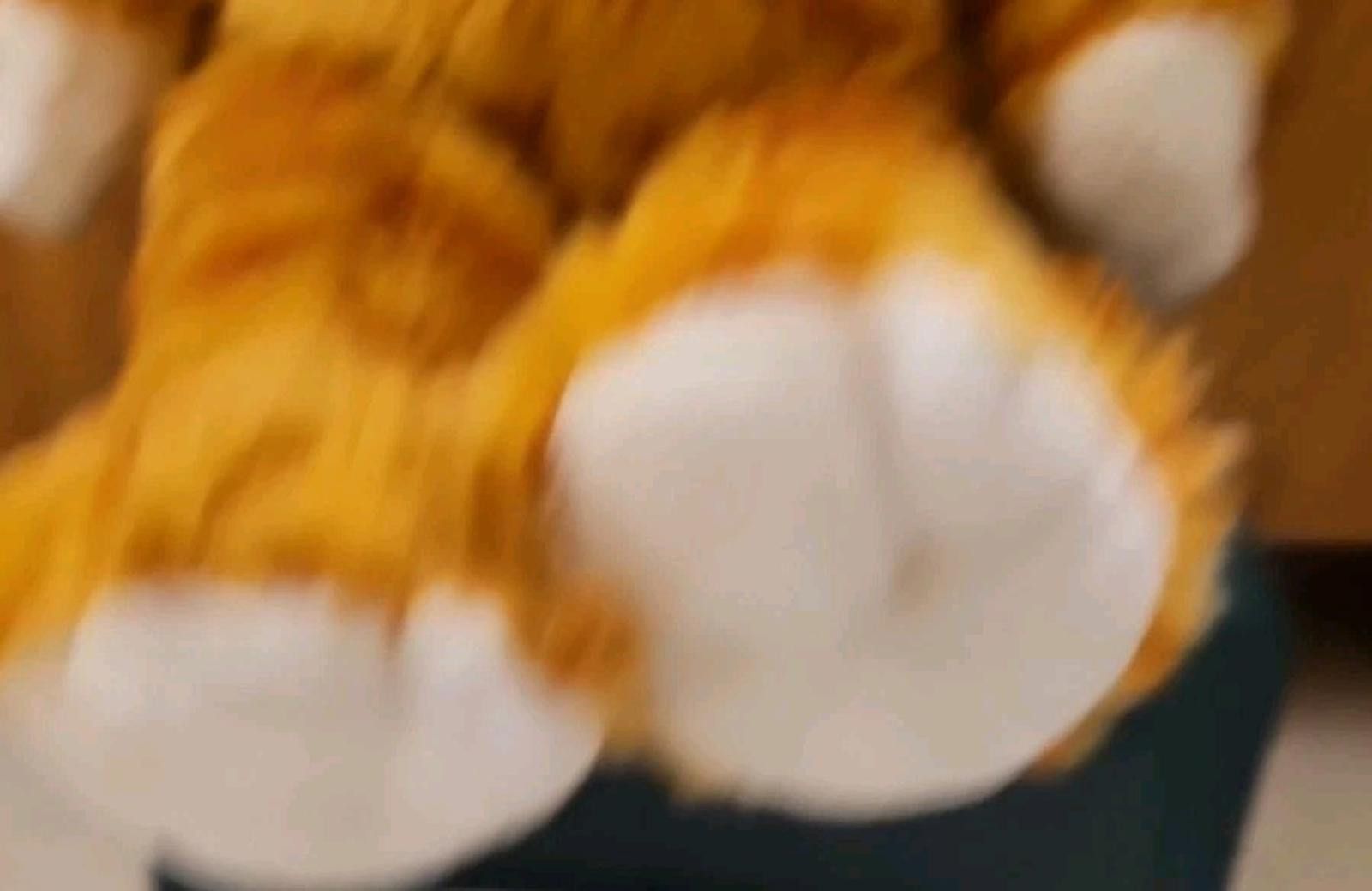 Other Build A Bear Vtg 90s Orange Tabby Striped Kitty Cat Plush Size ONE SIZE - 2 Thumbnail