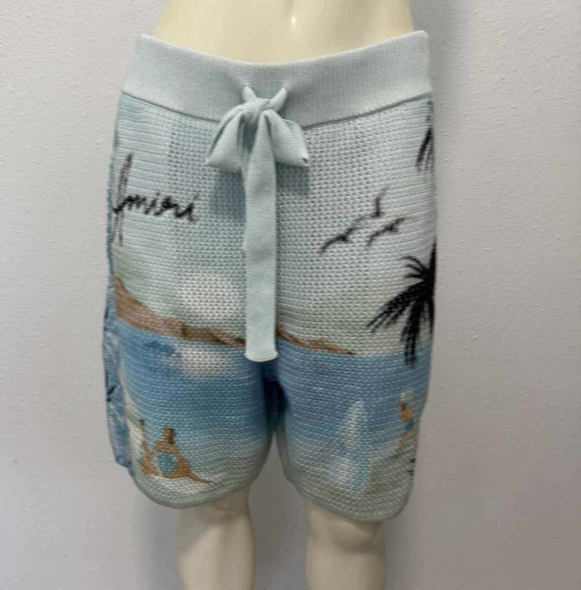 Amiri NWT Amiri Paradise XL Crochet Shorts in Cerulean Size US 40 / EU 56 - 3 Thumbnail