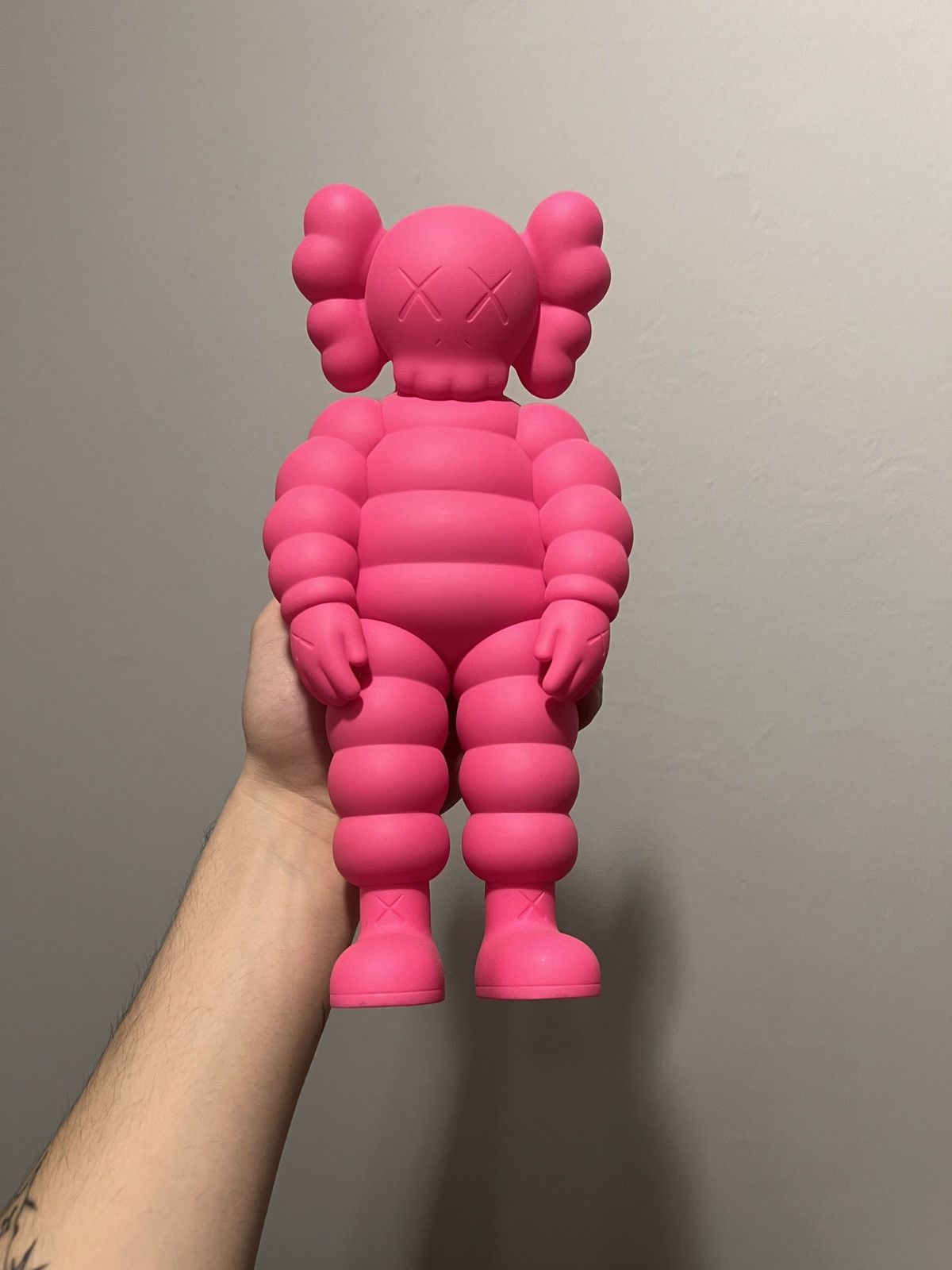 Kaws Kaws What Party Pink Size ONE SIZE - 1 Thumbnail
