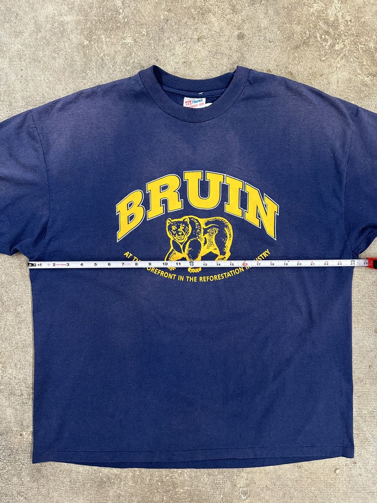 Hanes Vintage 90s Bruin Reforestation Bear Nature T-Shirt Size US XXL / EU 58 / 5 - 10 Thumbnail