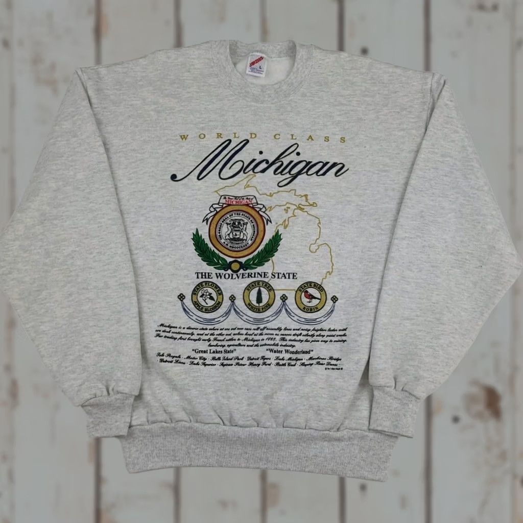 Jerzees VINTAGE 90s Michigan Big Print Sweatshirt Jerzees Men M Gray USA Wolver ine State Flower Tree Bird Sweatshirt Crew Neck Long Sleeve Pullover Size US M / EU 48-50 / 2 - 1 Thumbnail