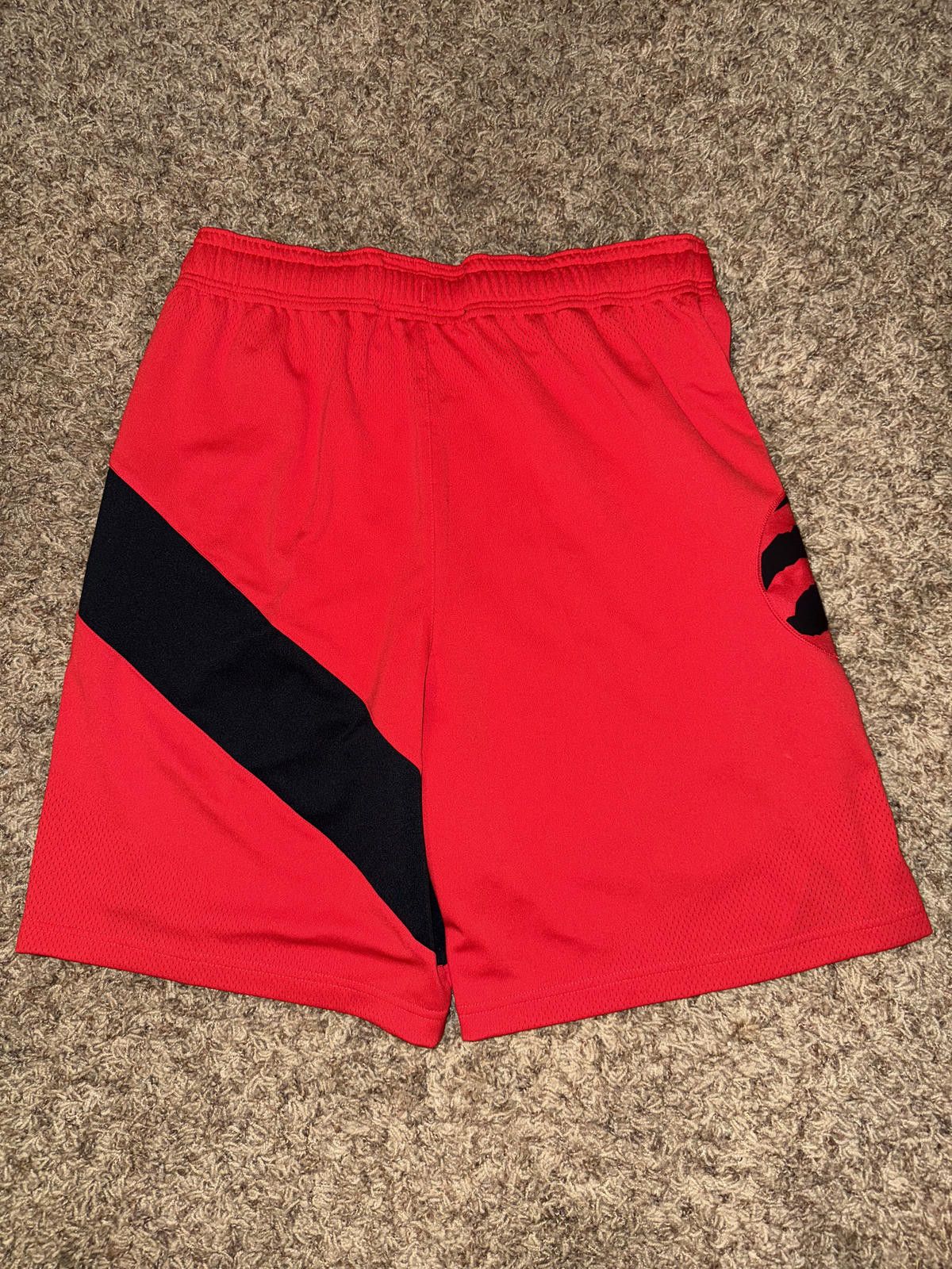Nike Nike Men's NBA Toronto Raptor Dri-Fit ADV Team Issued Shorts Size US 34 / EU 50 - 8 Thumbnail