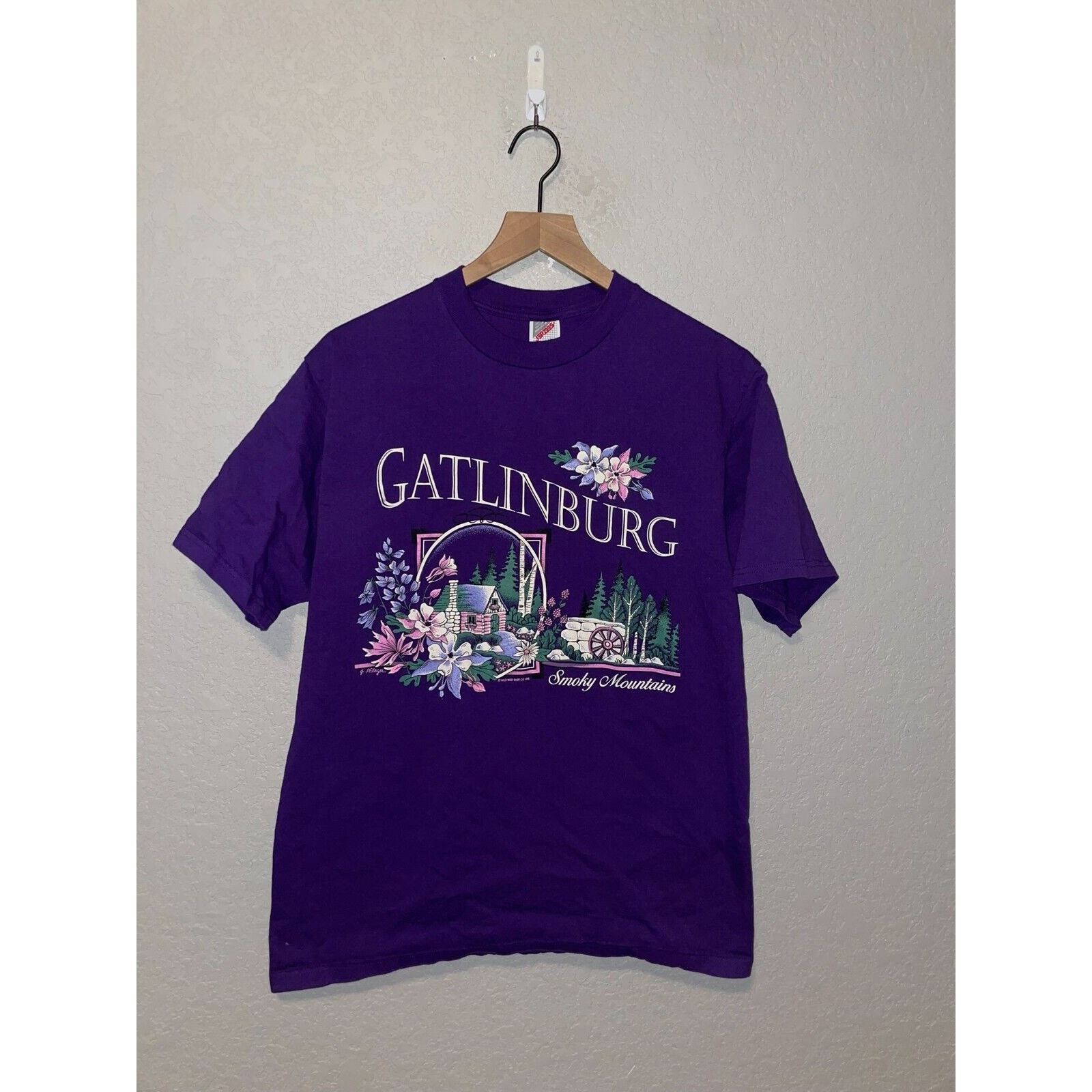 Jerzees 90s Vintage Jerzees Gatlinburg Smoky Mountains Shirt VTG L Size US L / EU 52-54 / 3 - 1 Thumbnail