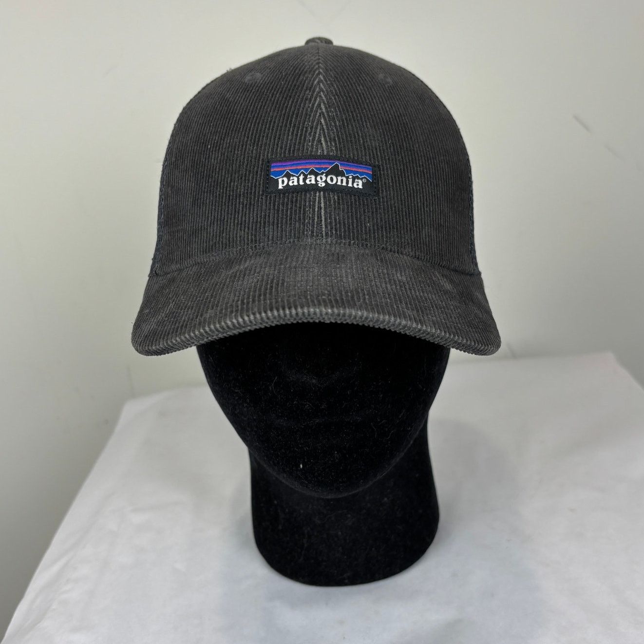 Patagonia Patagonia P-6 Logo LoPro Corduroy Trucker Hat Snapback Gorp Size ONE SIZE - 2 Thumbnail